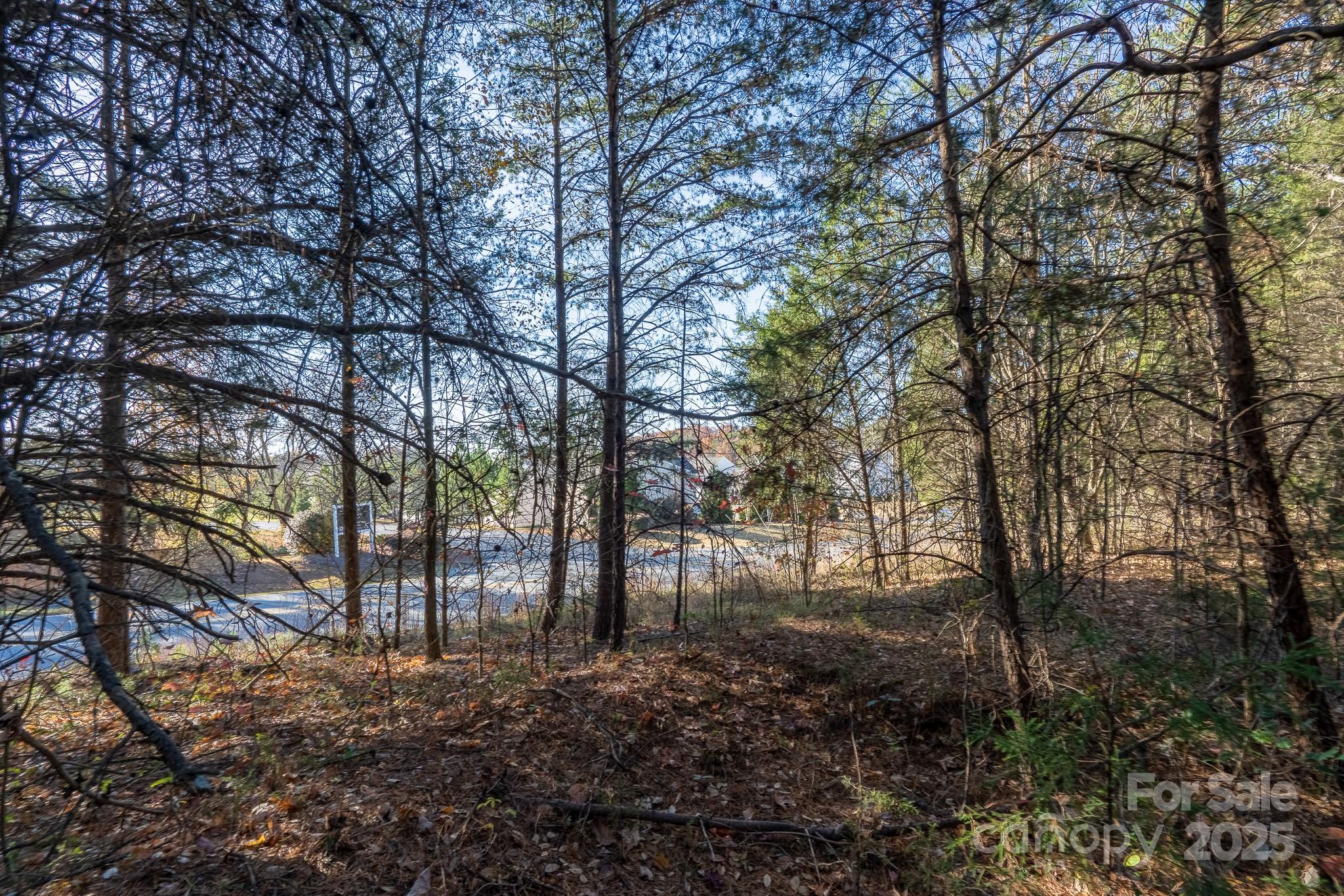 0 China Grove Highway Property Photo 1