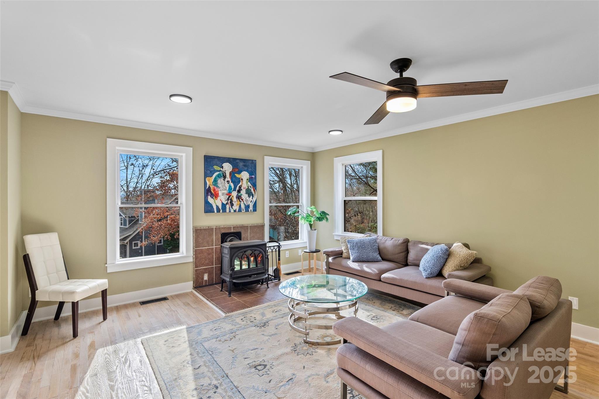 5 Elmore Street Property Photo 5