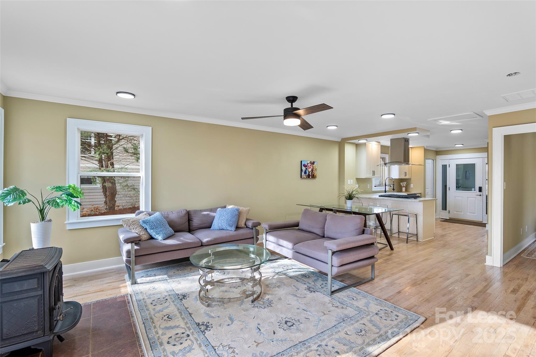 5 Elmore Street Property Photo 6