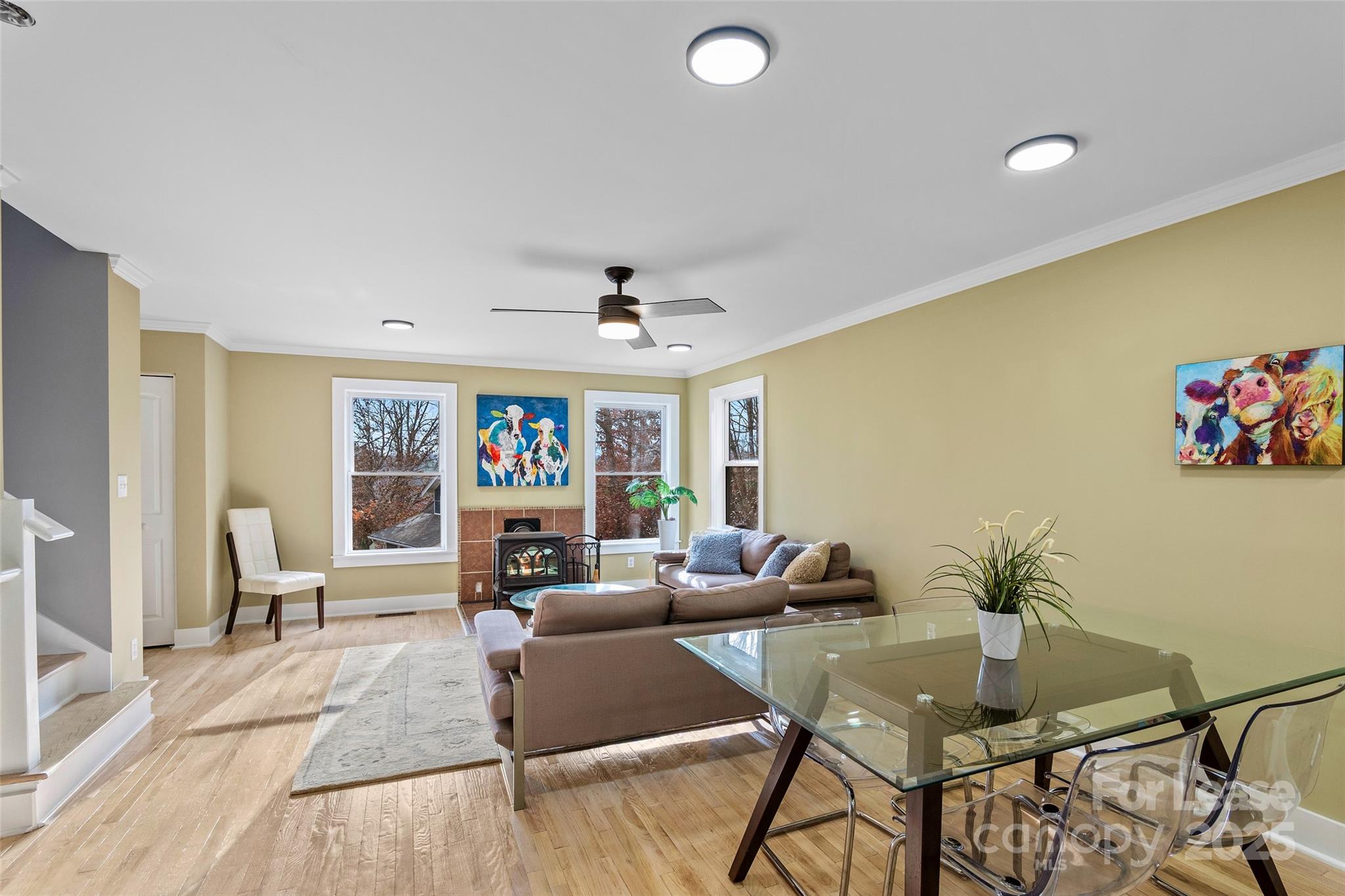 5 Elmore Street Property Photo 7