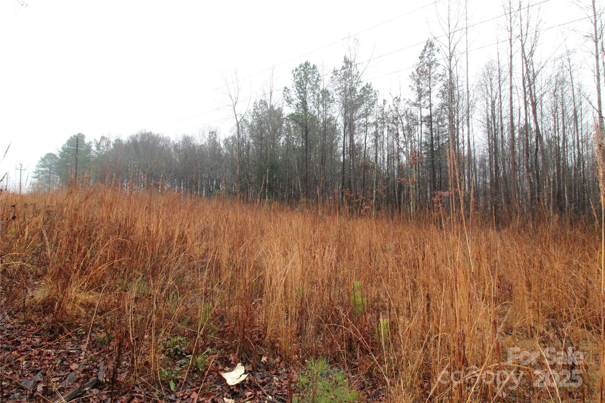 4.58+/-ac Eaker Road Lot 4 Property Photo 3