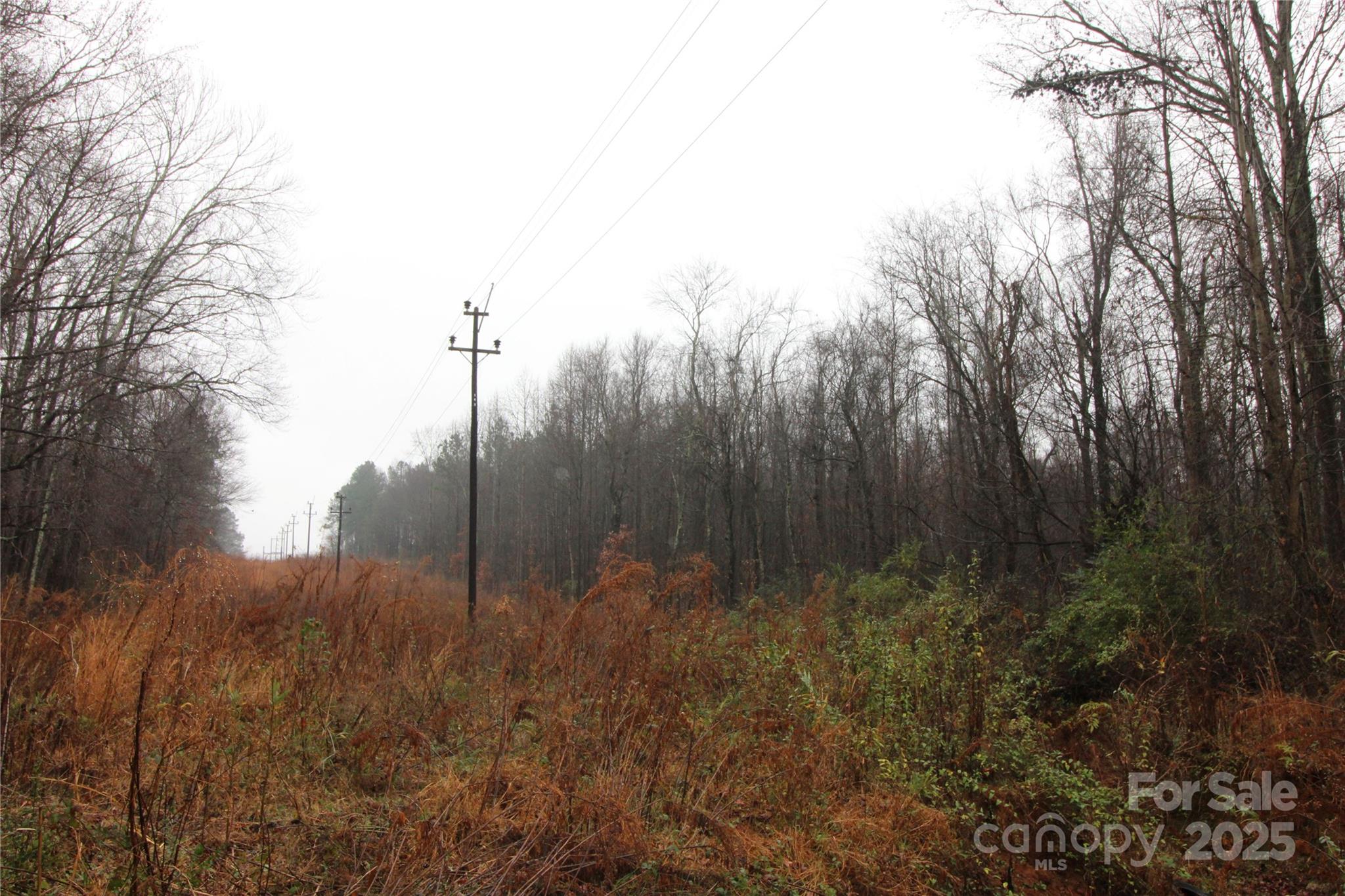 4.58+/-ac Eaker Road Lot 4 Property Photo 4