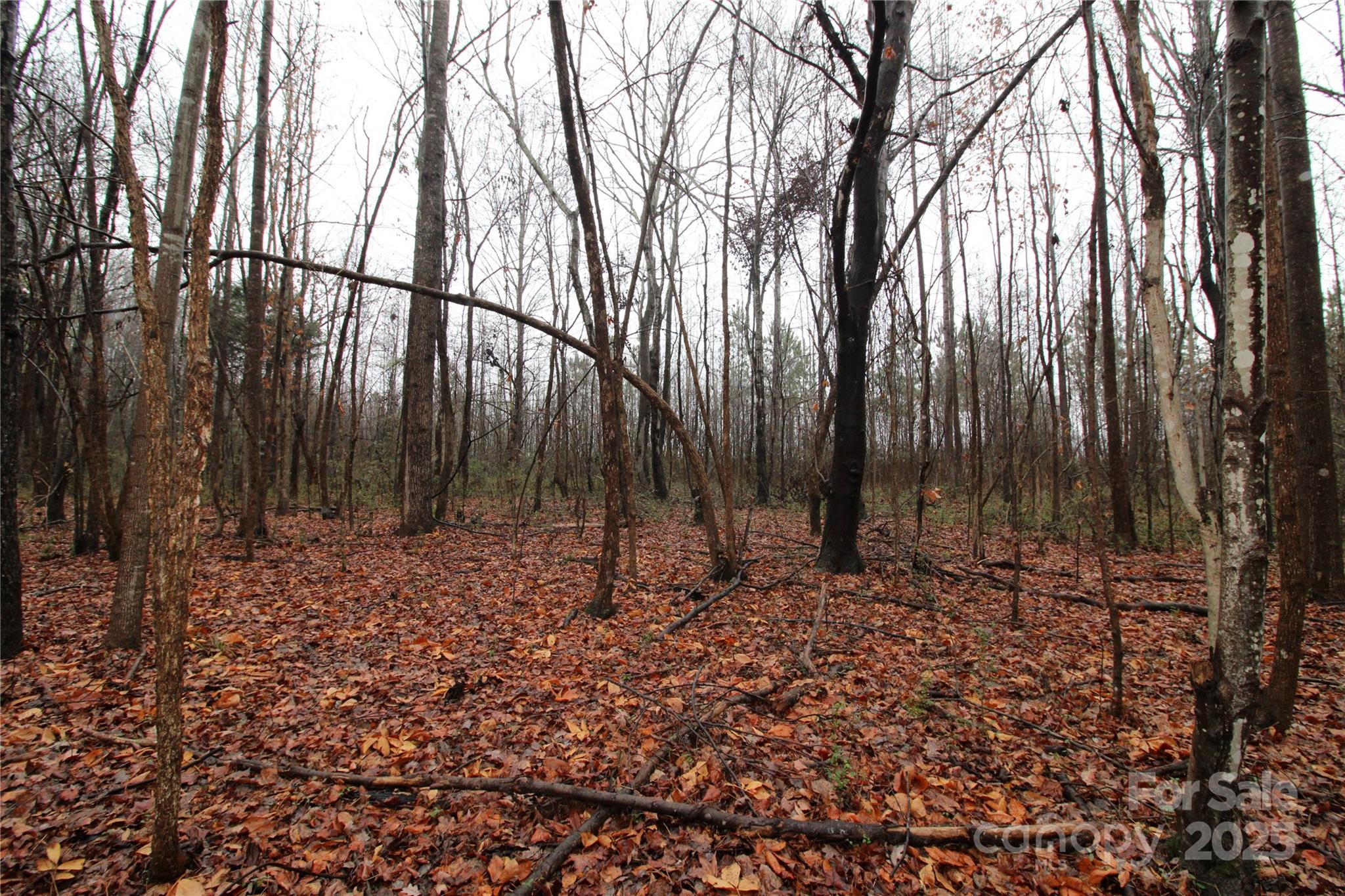 4.58+/-ac Eaker Road Lot 4 Property Photo 5