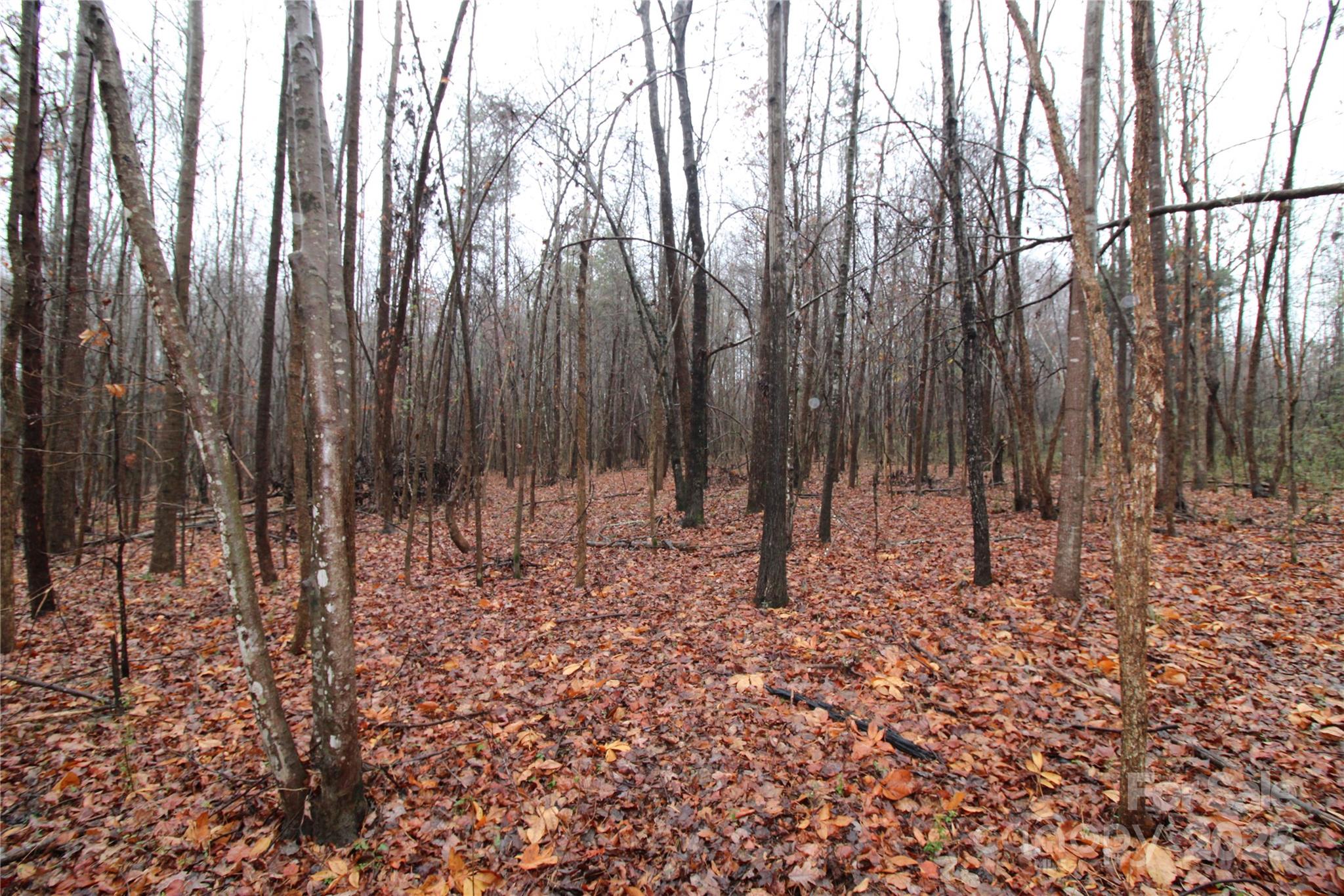 4.58+/-ac Eaker Road Lot 4 Property Photo 6
