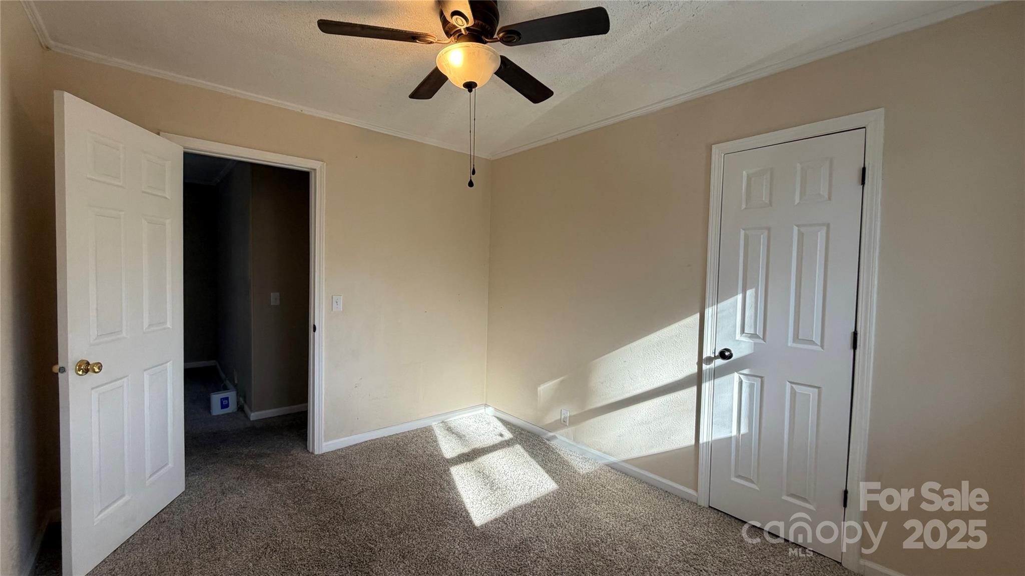 513 Holly Street Property Photo 17