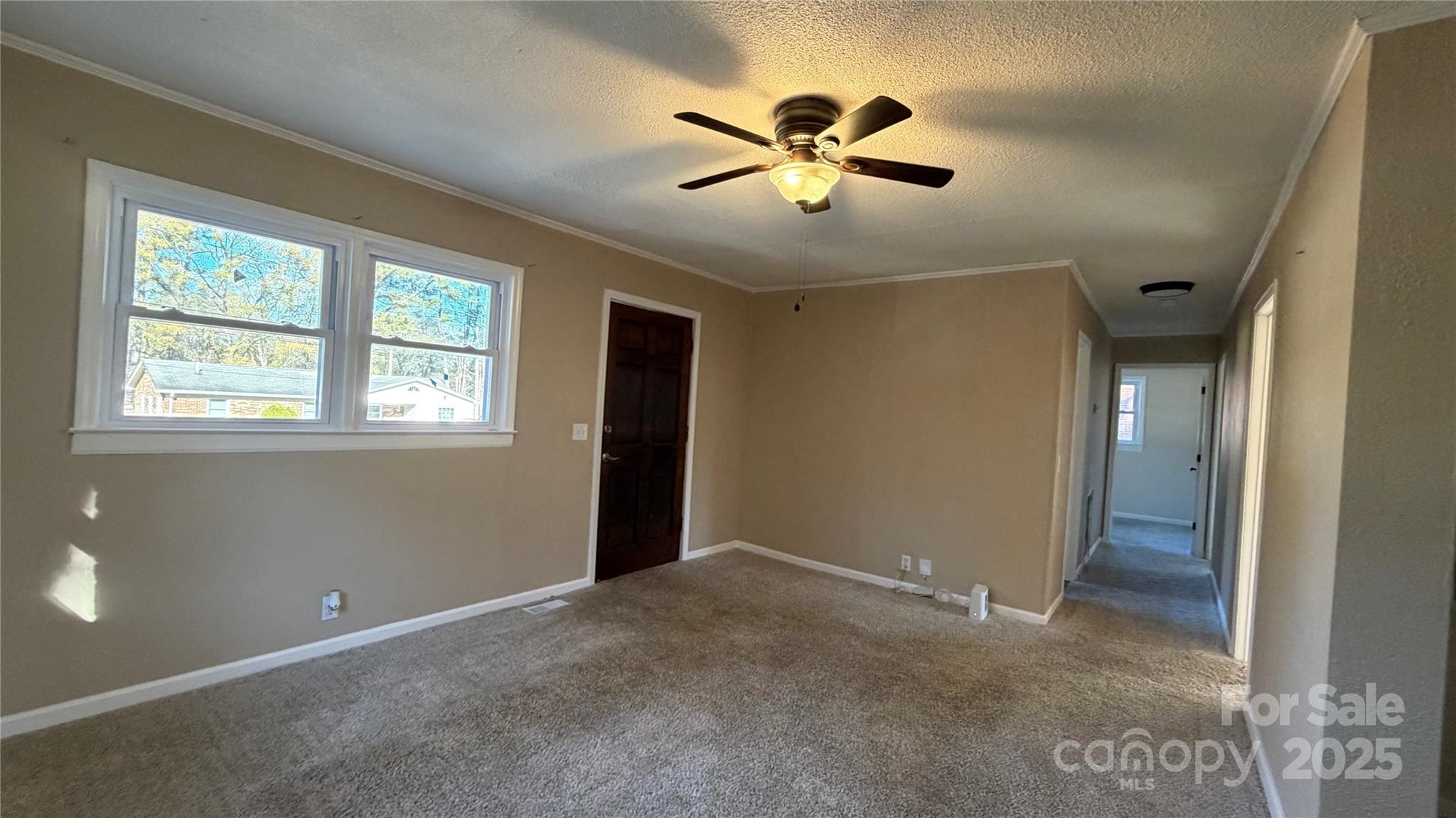513 Holly Street Property Photo 19
