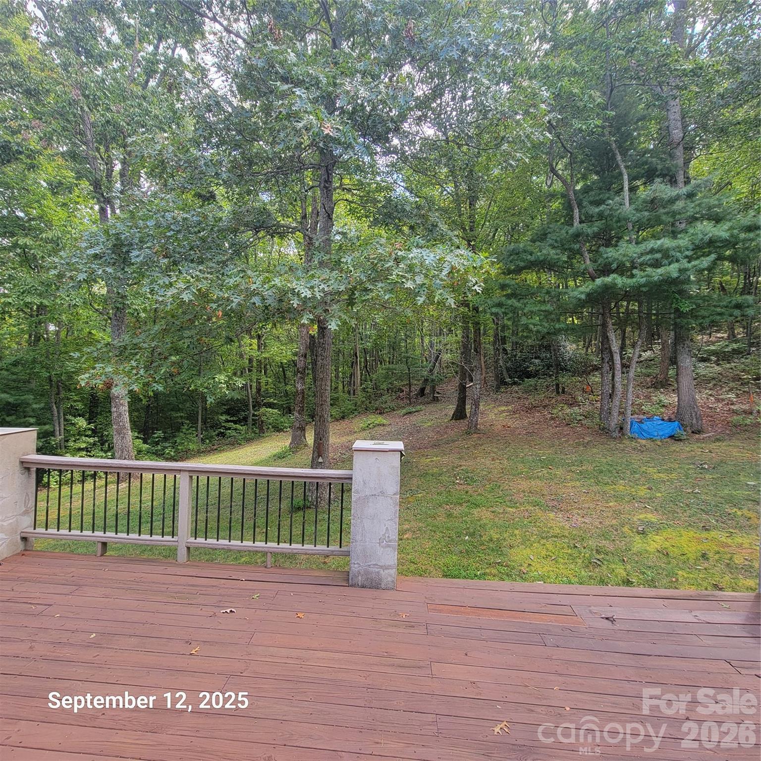 31 Reeds Creek Road Property Photo 8