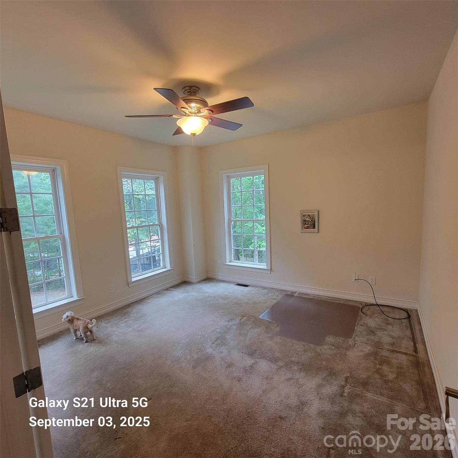 31 Reeds Creek Road Property Photo 22