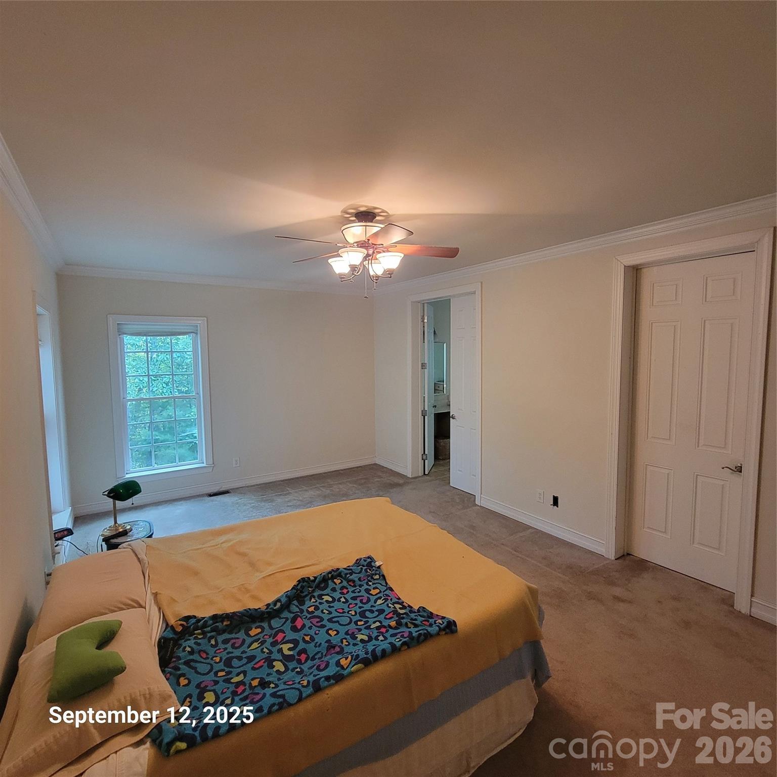 31 Reeds Creek Road Property Photo 27