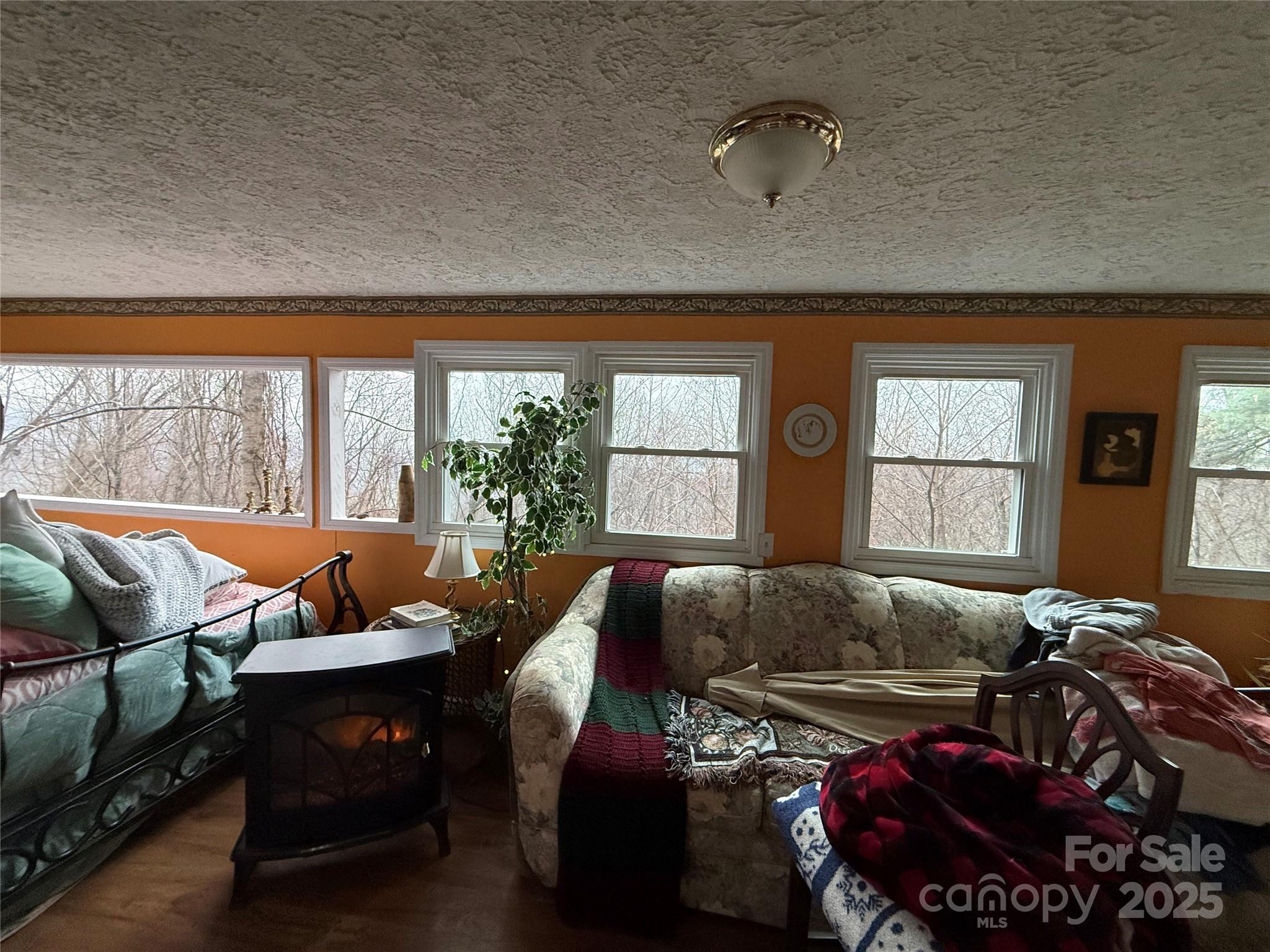 201 Mountain Vista Road Property Photo 15