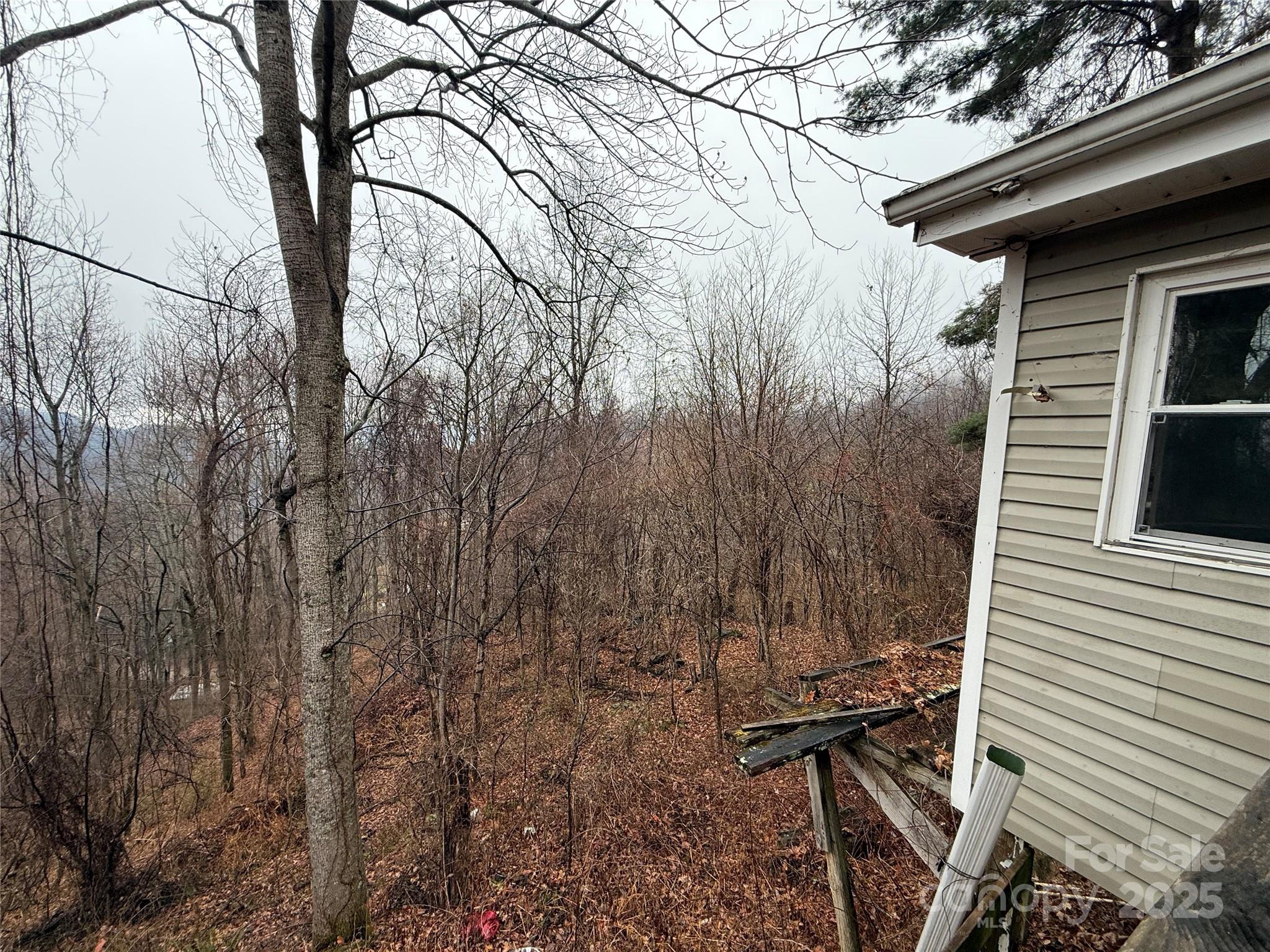 201 Mountain Vista Road Property Photo 20