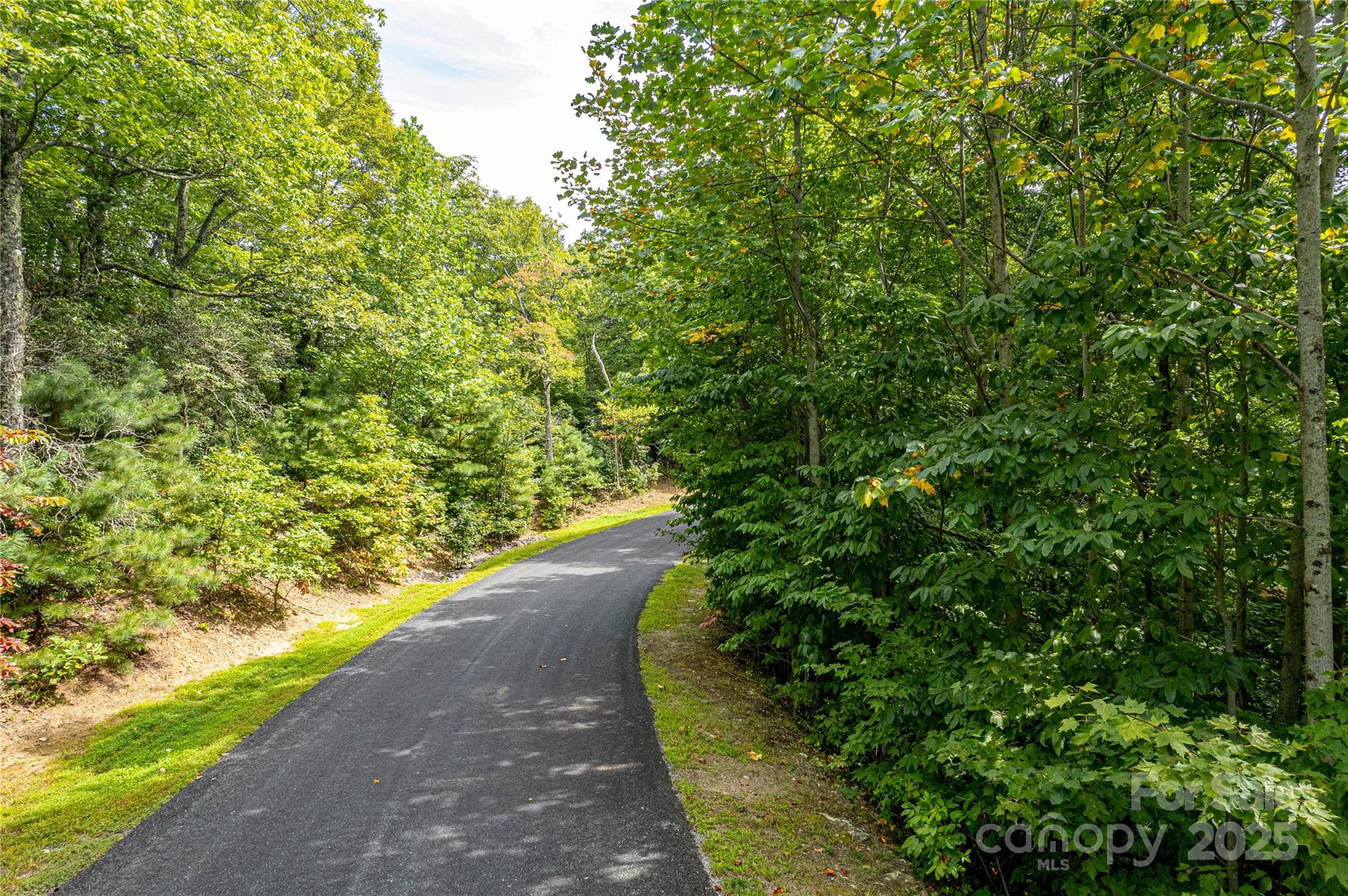 579 Bluemist Way Property Photo 4