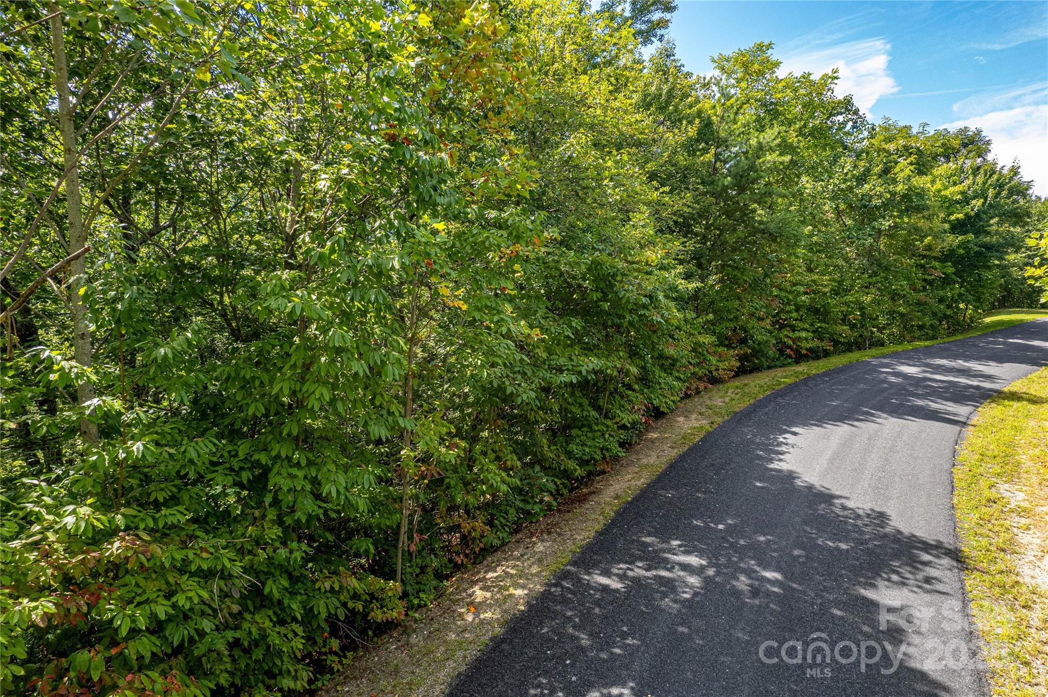 579 Bluemist Way Property Photo 12