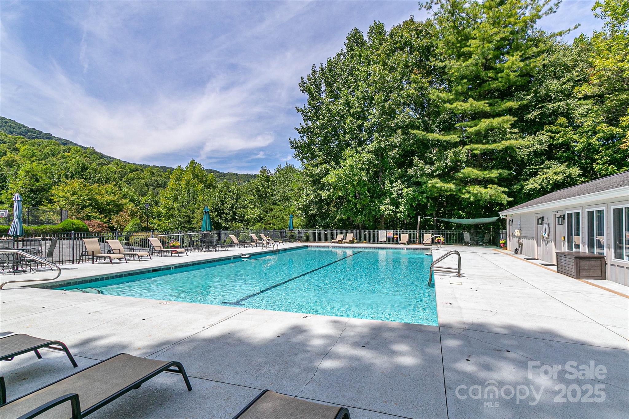 579 Bluemist Way Property Photo 13
