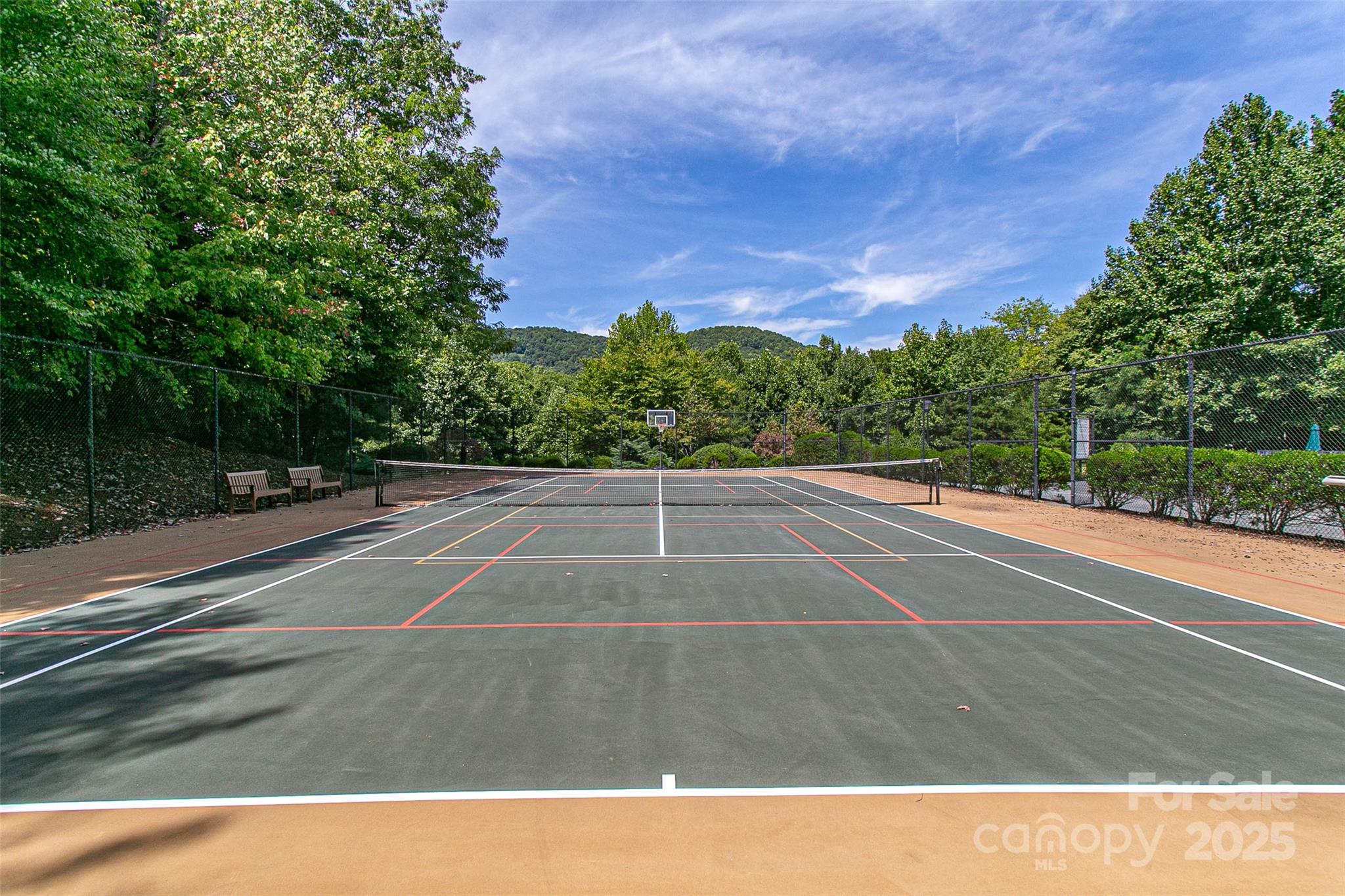 579 Bluemist Way Property Photo 15