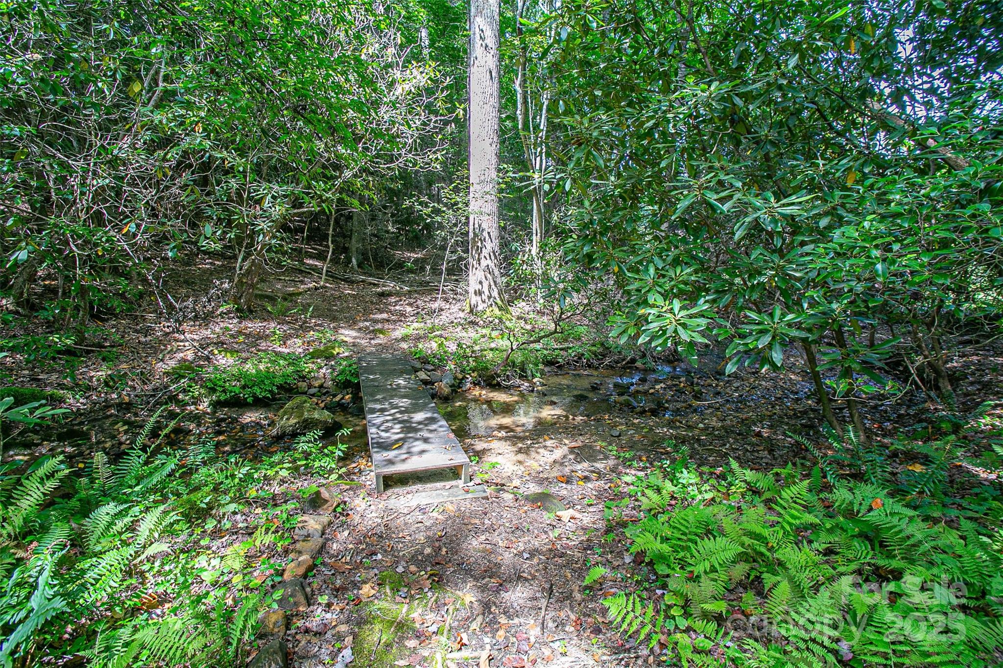 579 Bluemist Way Property Photo 19