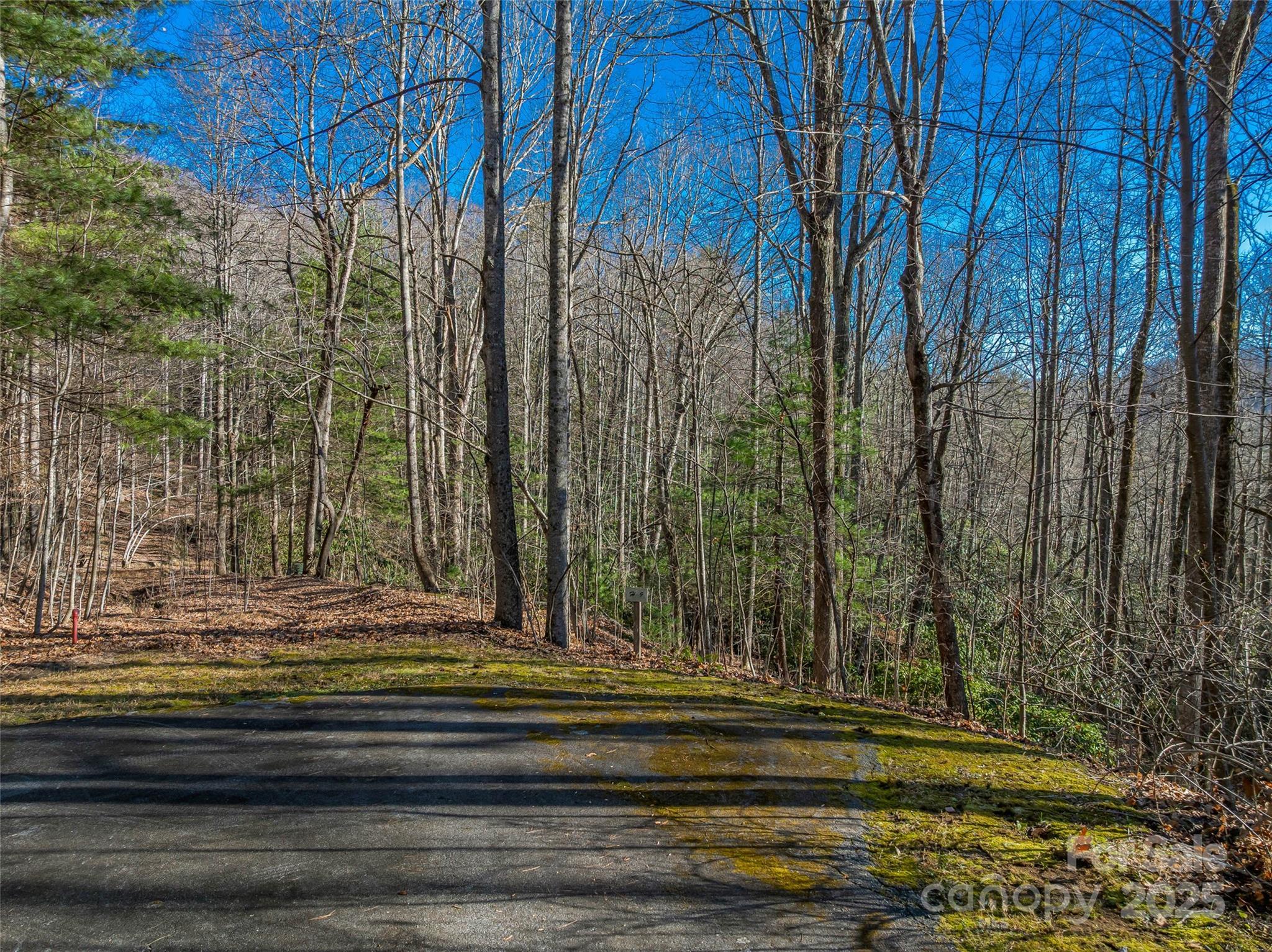 Tbd Ladys Fern Trail 9 Property Photo 6