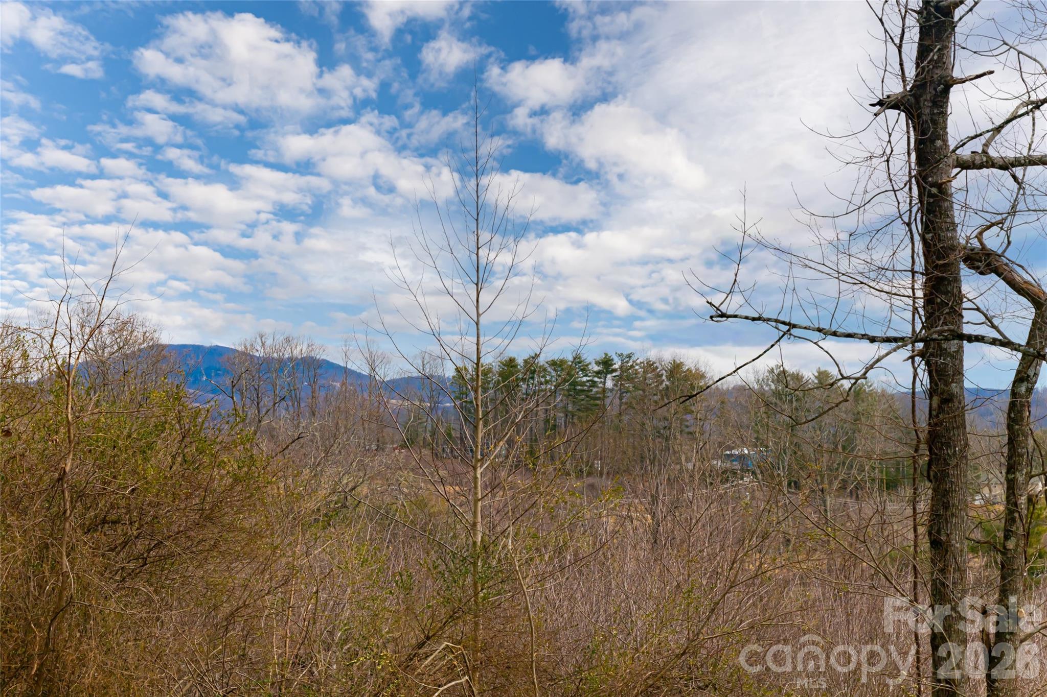 153 Hackleburg Lane Property Photo 10