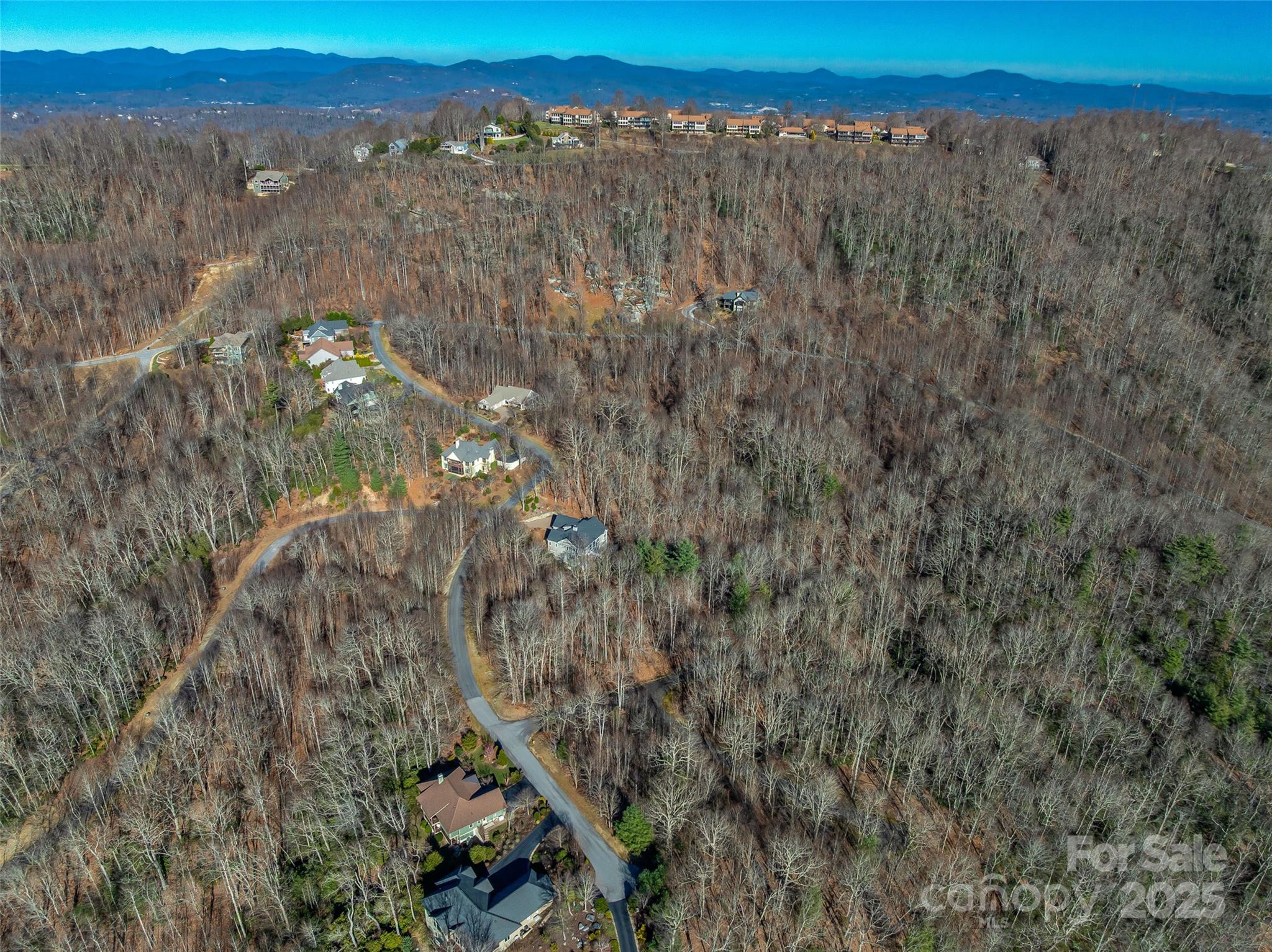 211 Ladys Fern Trail Property Photo 6