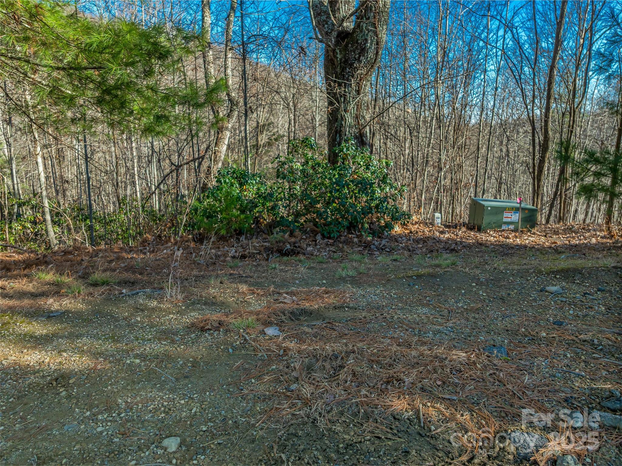 211 Ladys Fern Trail Property Photo 7