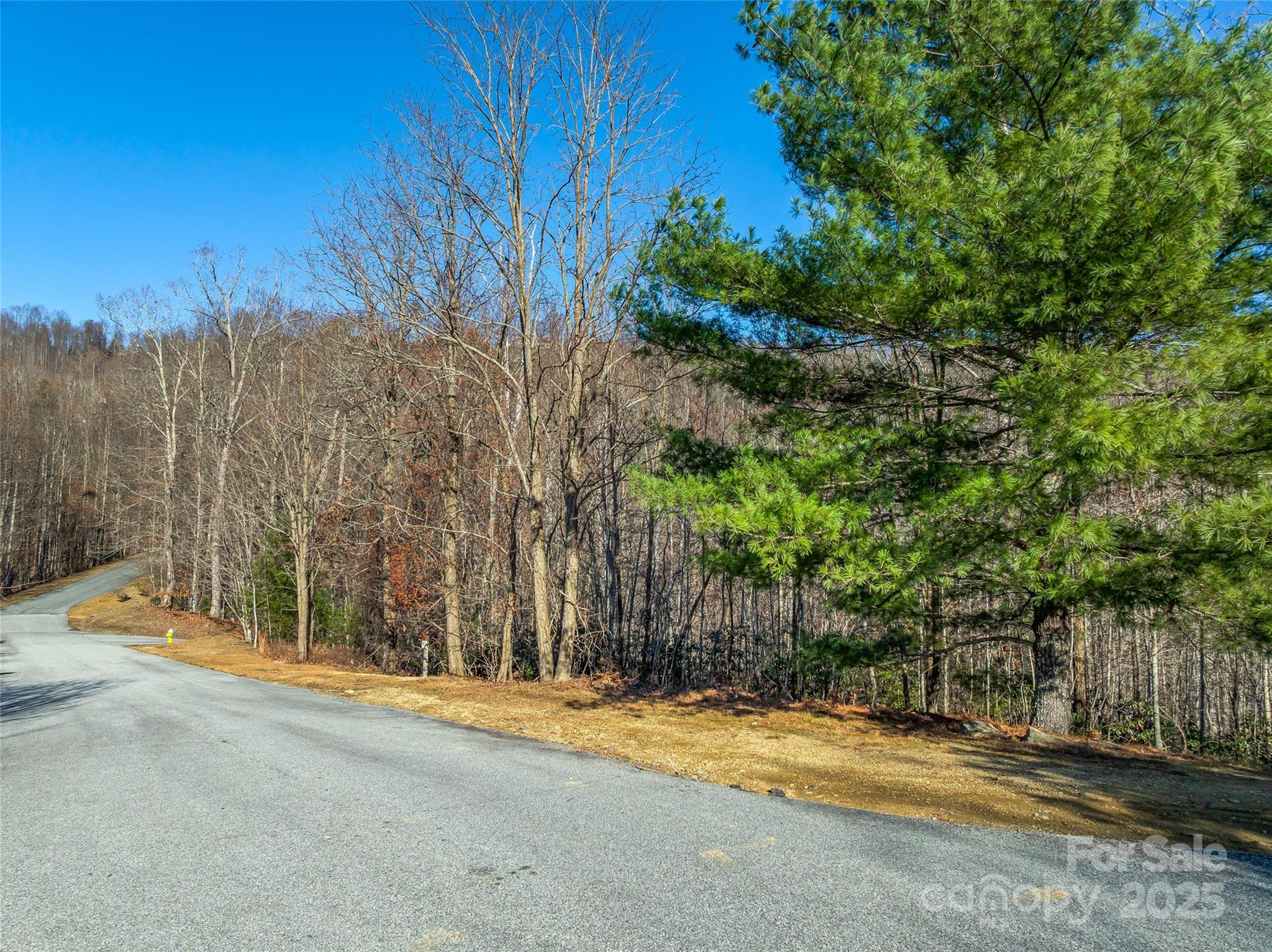 211 Ladys Fern Trail Property Photo 8
