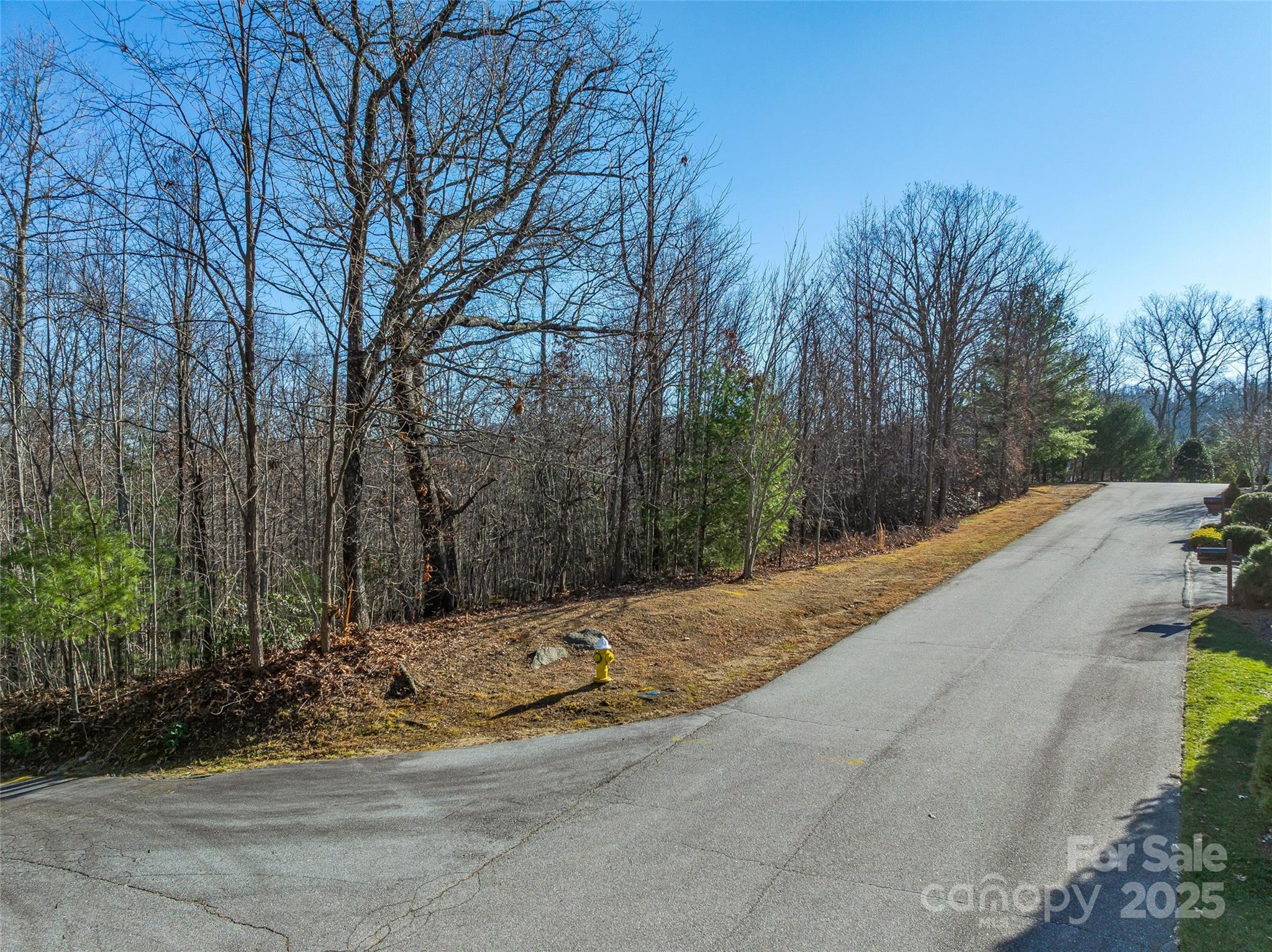 211 Ladys Fern Trail Property Photo 9