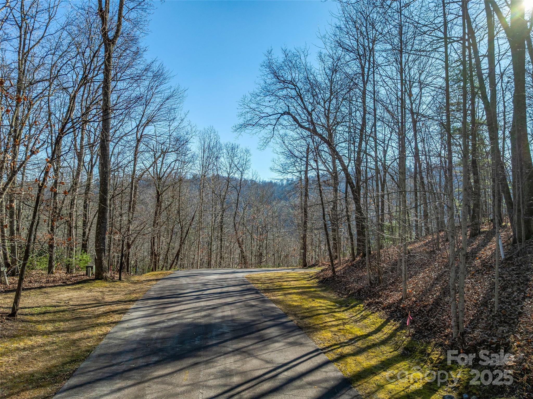 211 Ladys Fern Trail Property Photo 10