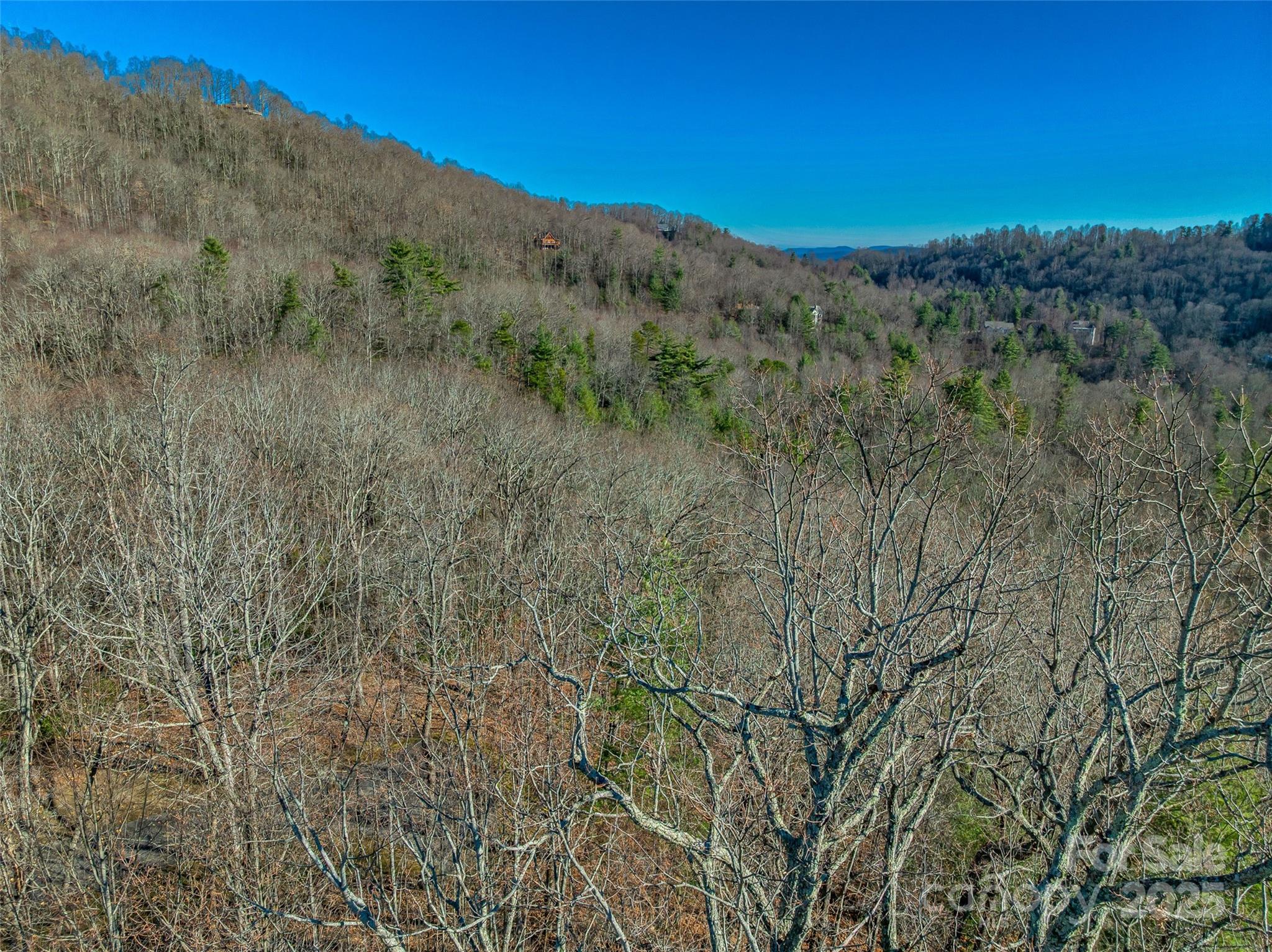 211 Ladys Fern Trail Property Photo 12
