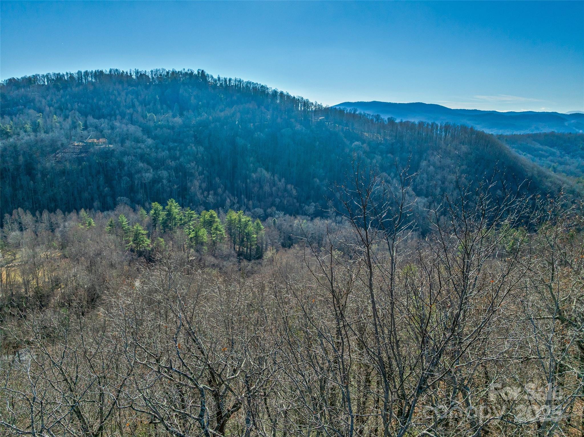 211 Ladys Fern Trail Property Photo 13