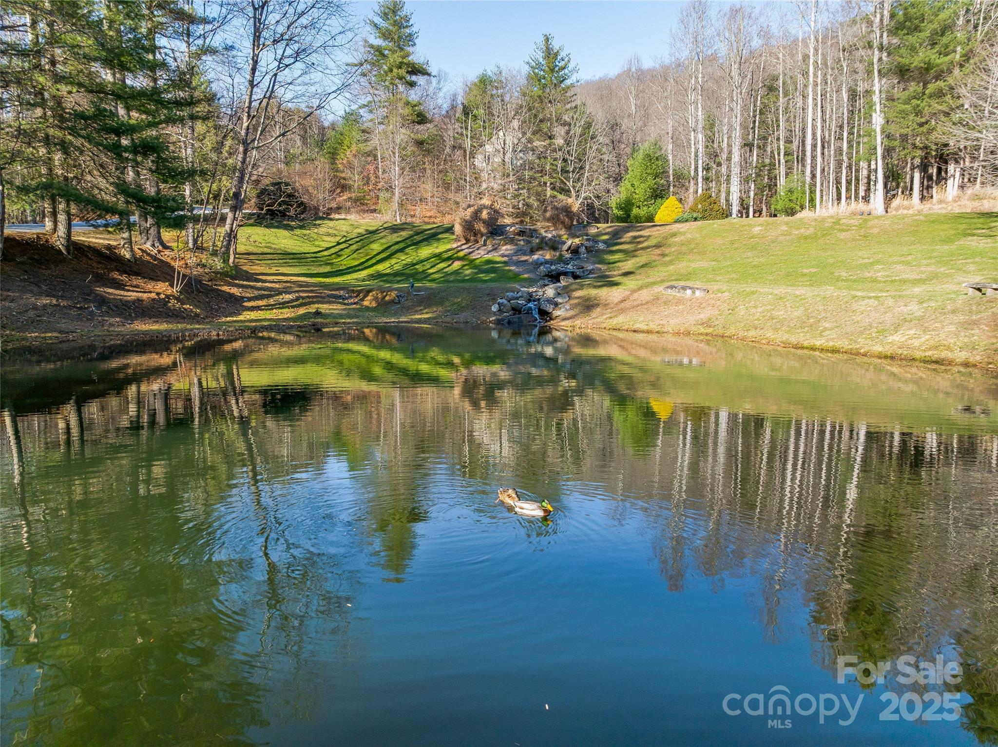 211 Ladys Fern Trail Property Photo 26