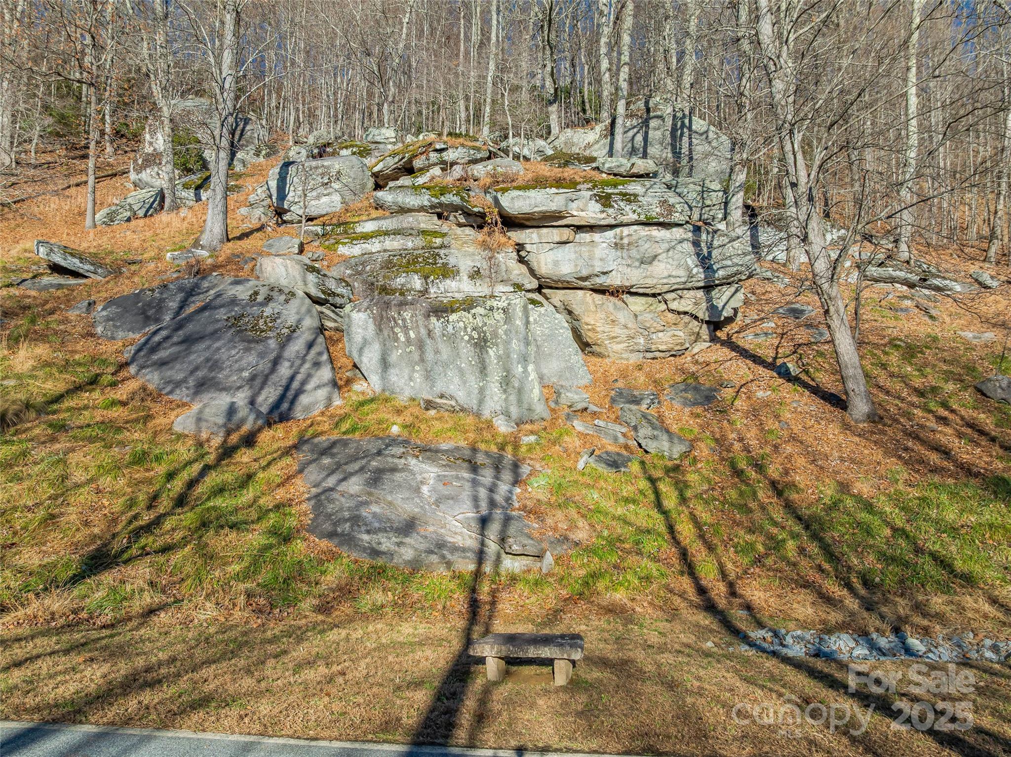 211 Ladys Fern Trail Property Photo 29