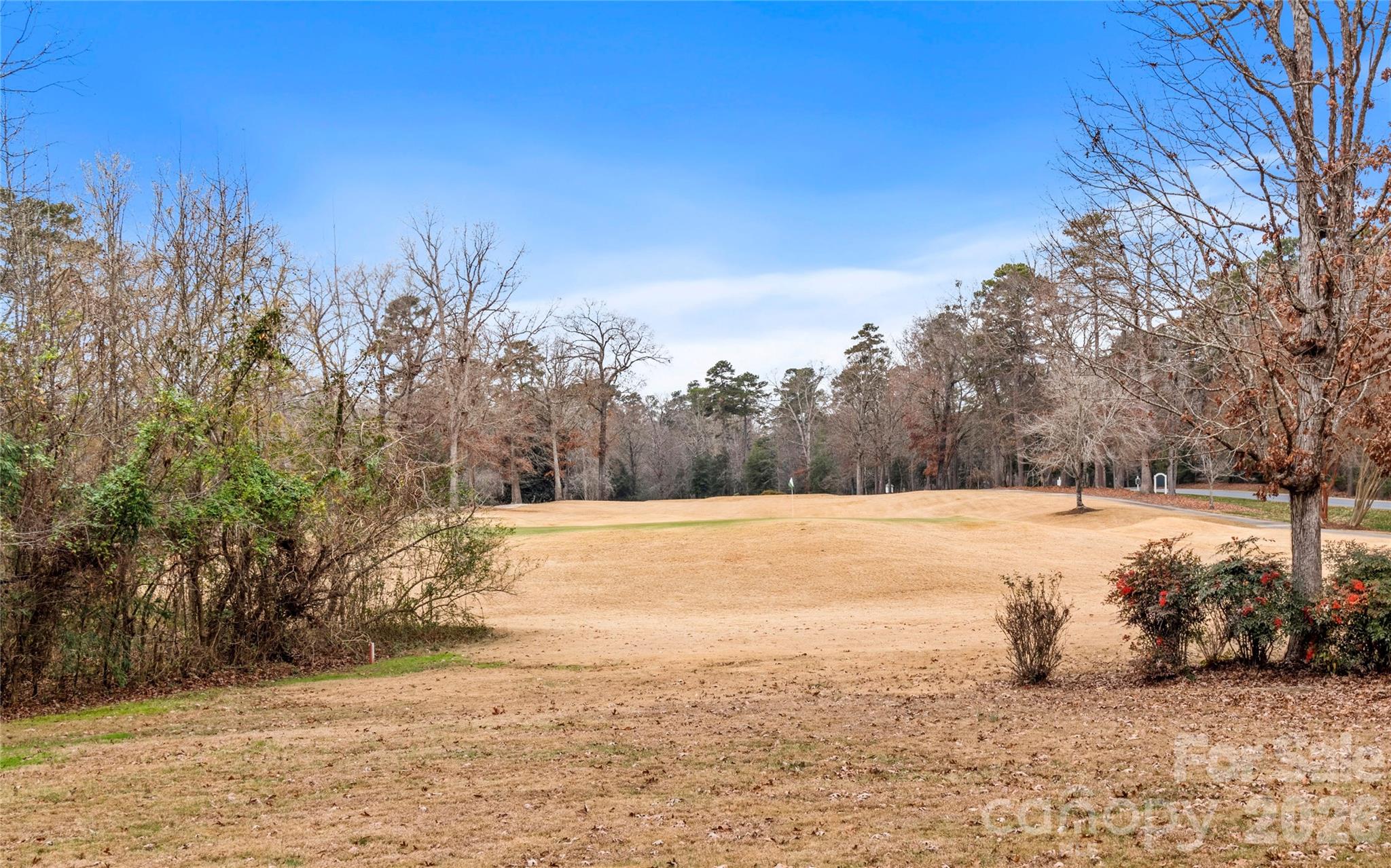 108 Candor Oaks Drive Property Photo 35
