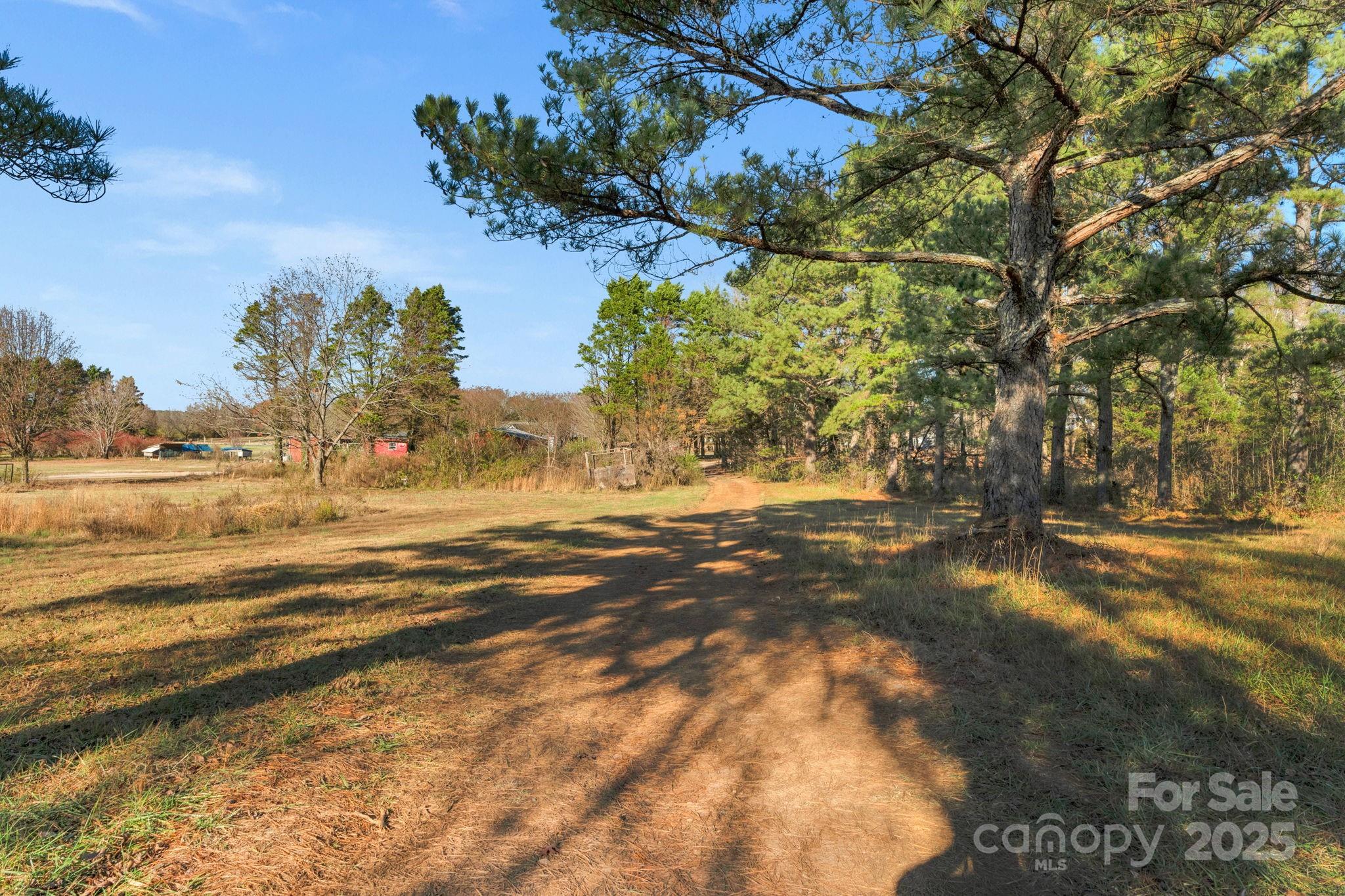 5620 Stack Road Property Photo 13