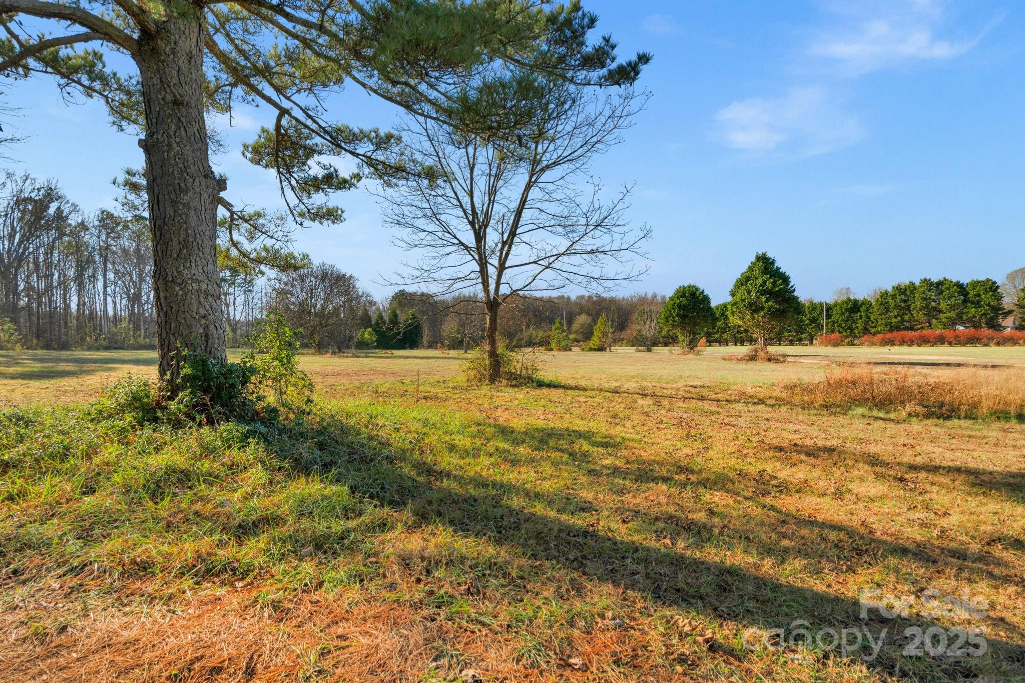 5620 Stack Road Property Photo 14