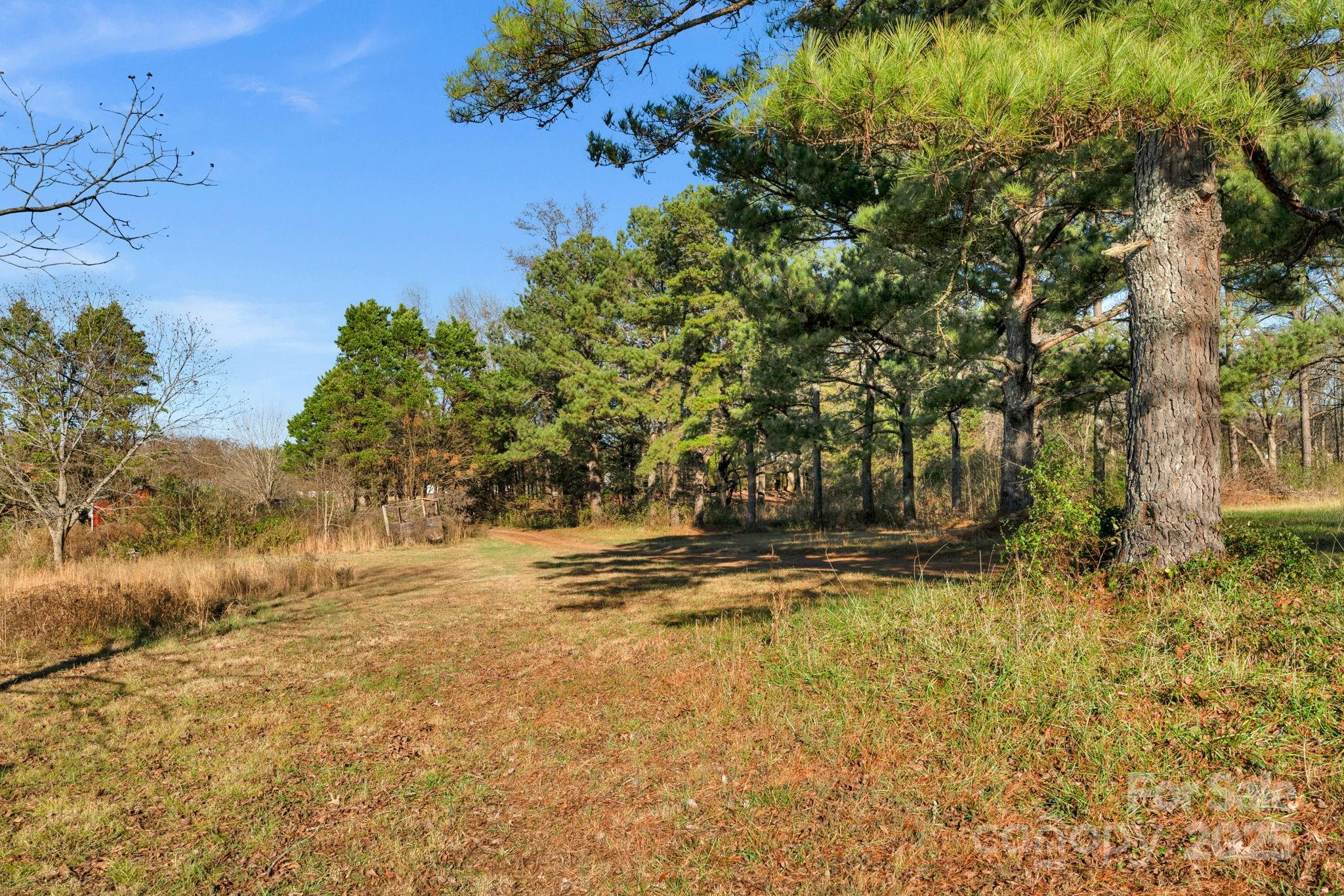 5620 Stack Road Property Photo 15