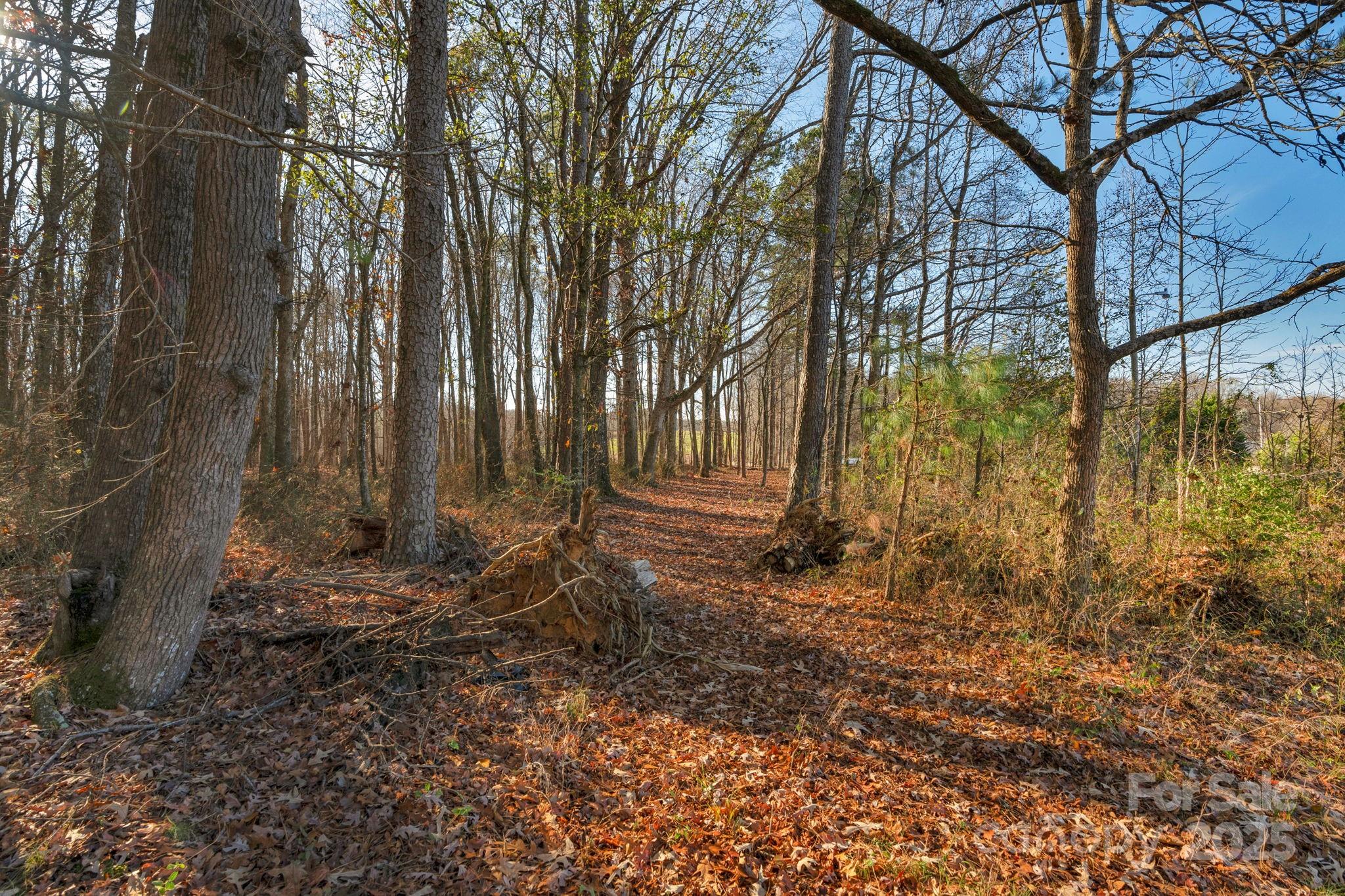 5620 Stack Road Property Photo 17