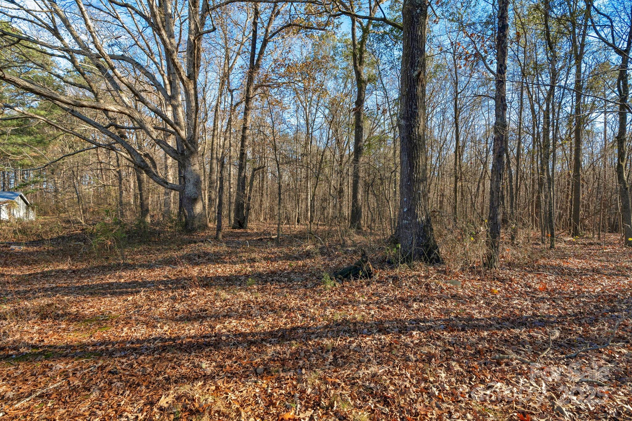 5620 Stack Road Property Photo 18
