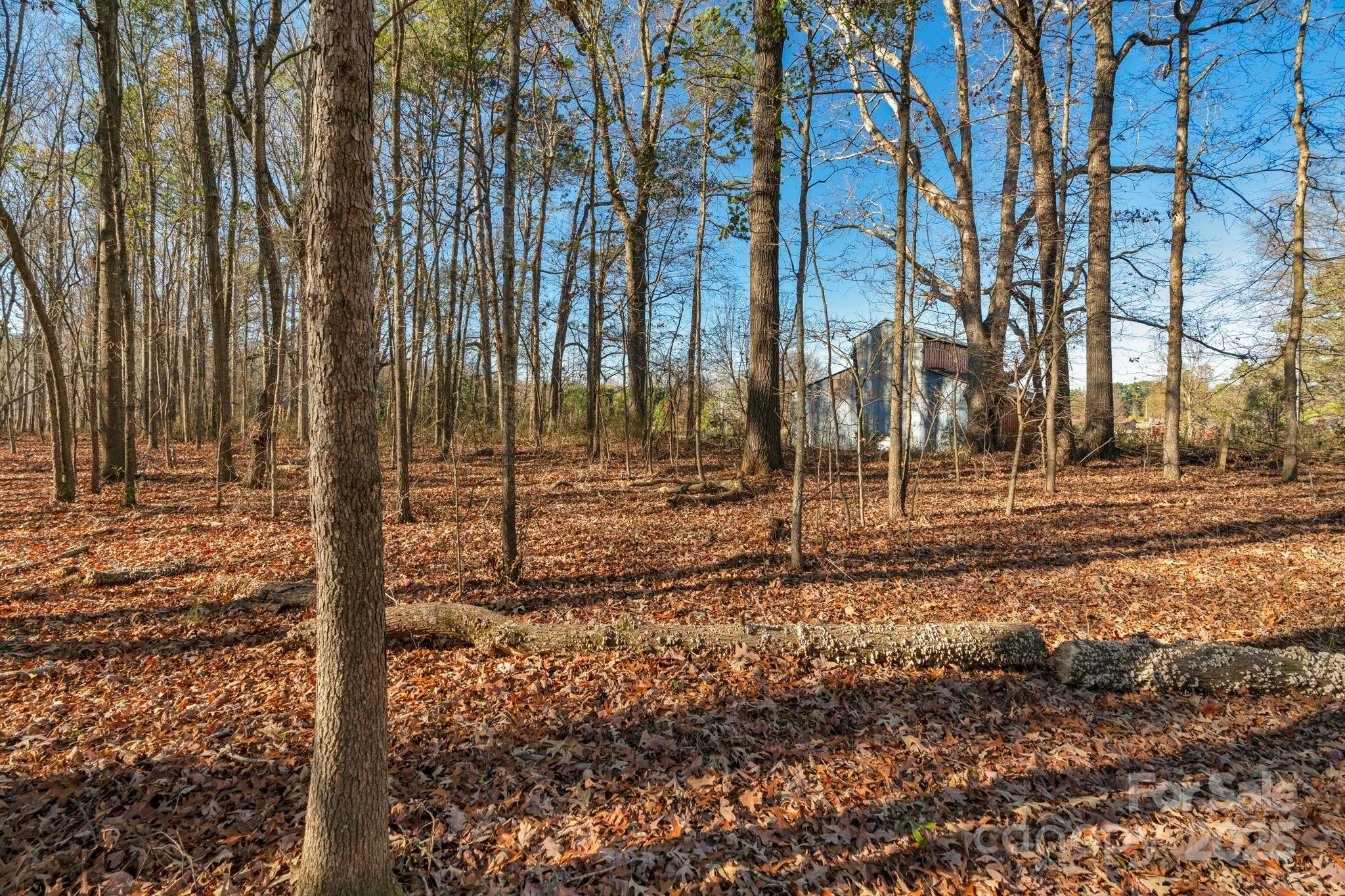 5620 Stack Road Property Photo 20