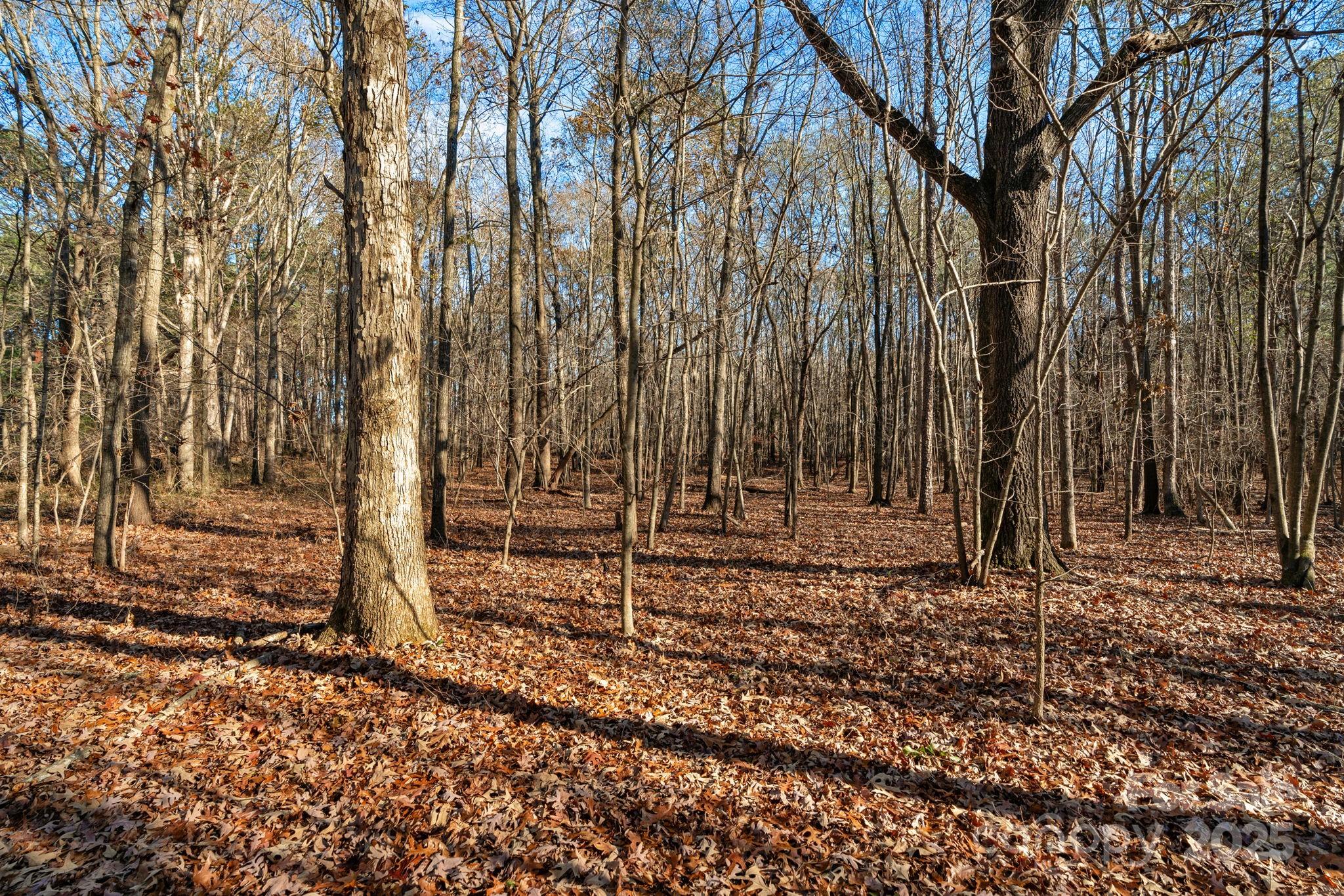 5620 Stack Road Property Photo 28
