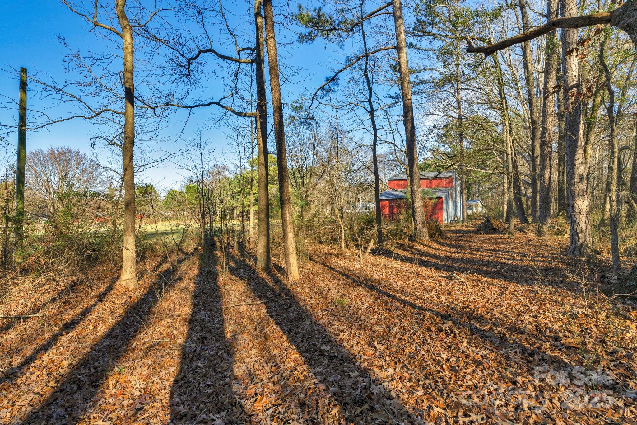 5620 Stack Road Property Photo 29