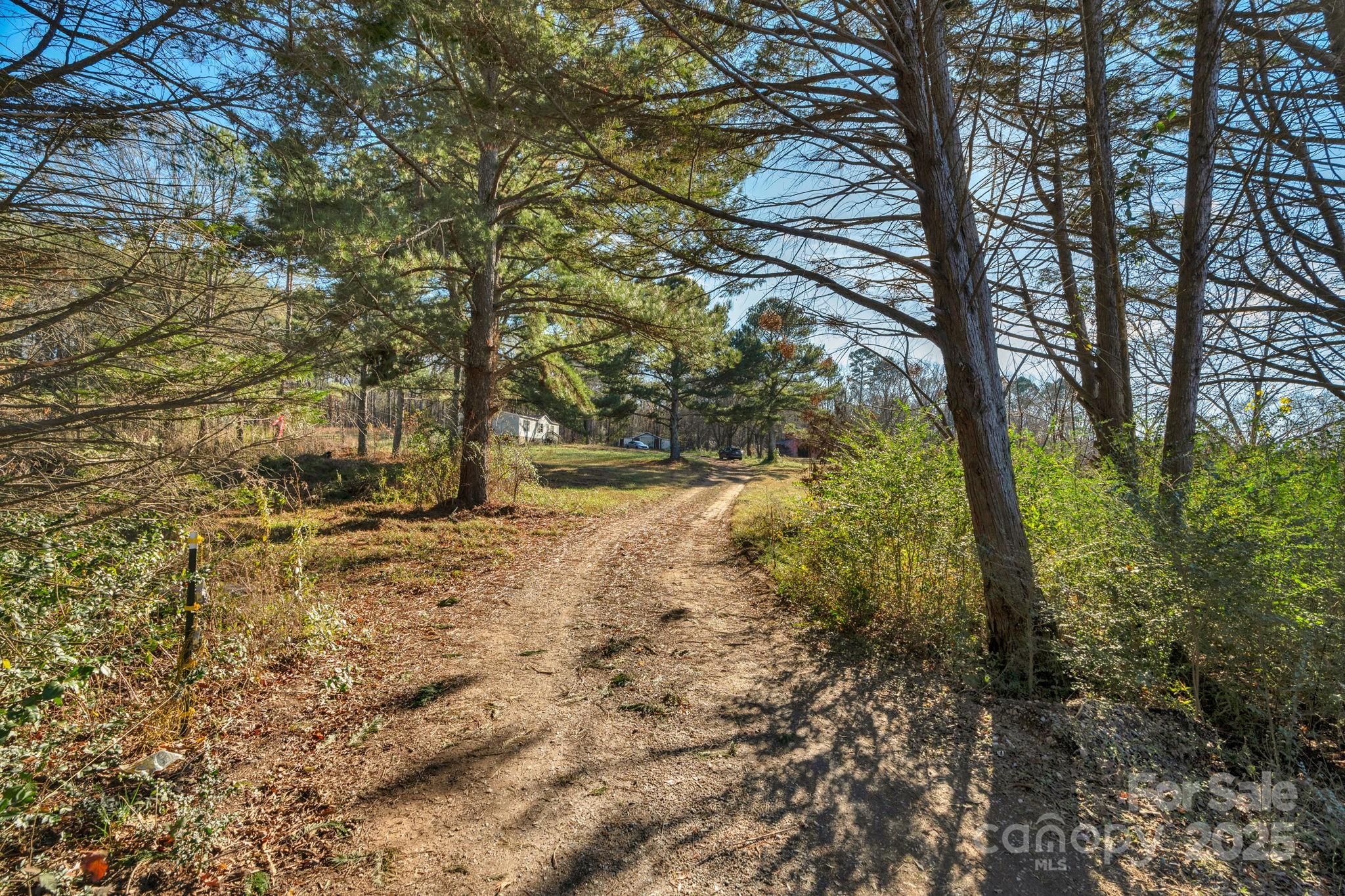 5620 Stack Road Property Photo 34