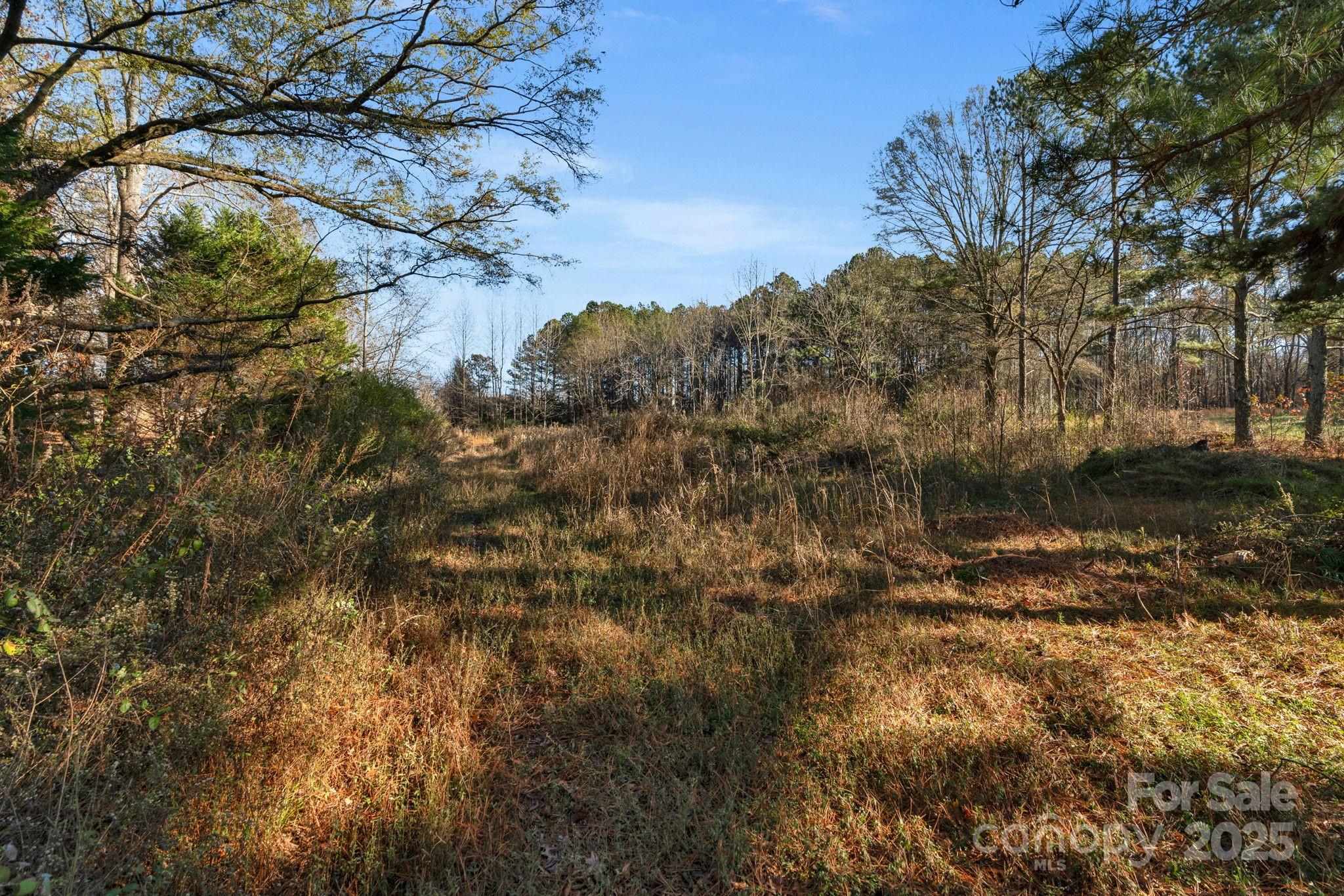 5620 Stack Road Property Photo 35
