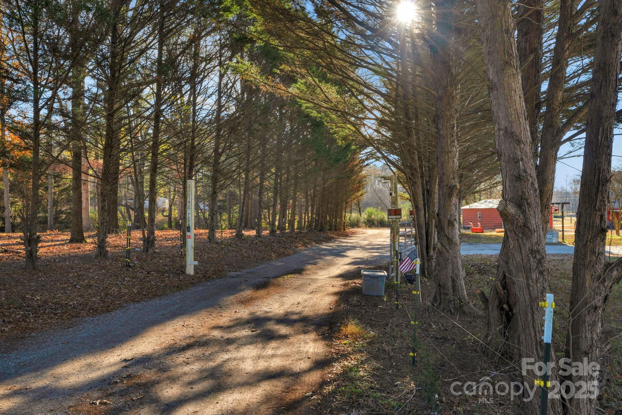 5620 Stack Road Property Photo 39