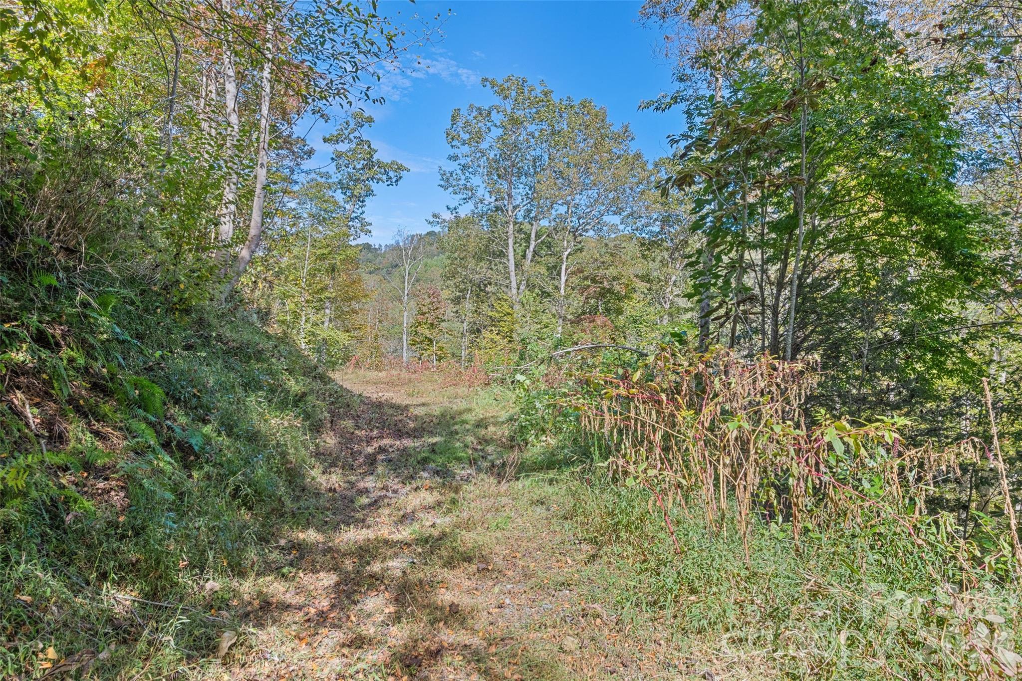 16 Harleys Cove Property Photo 5