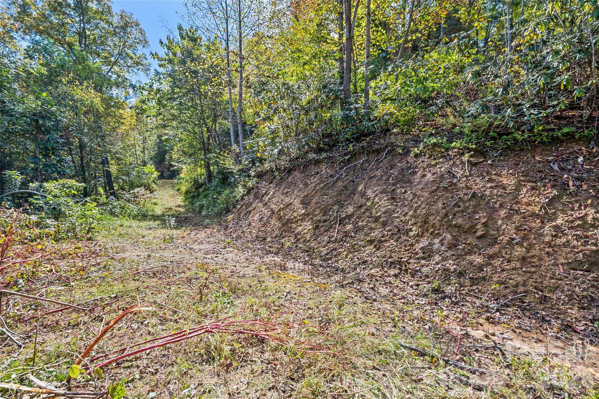 16 Harleys Cove Property Photo 6