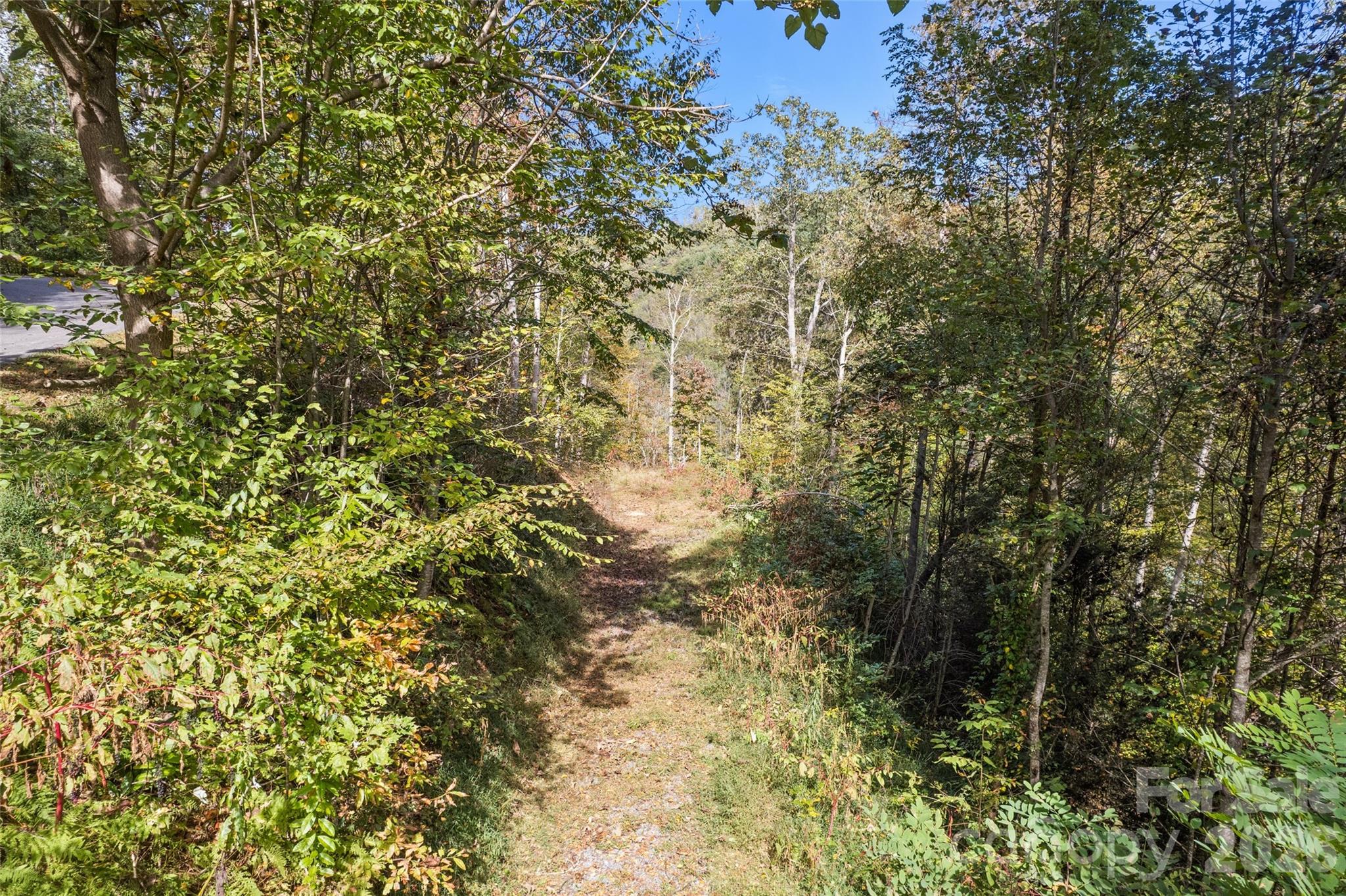 16 Harleys Cove Property Photo 15