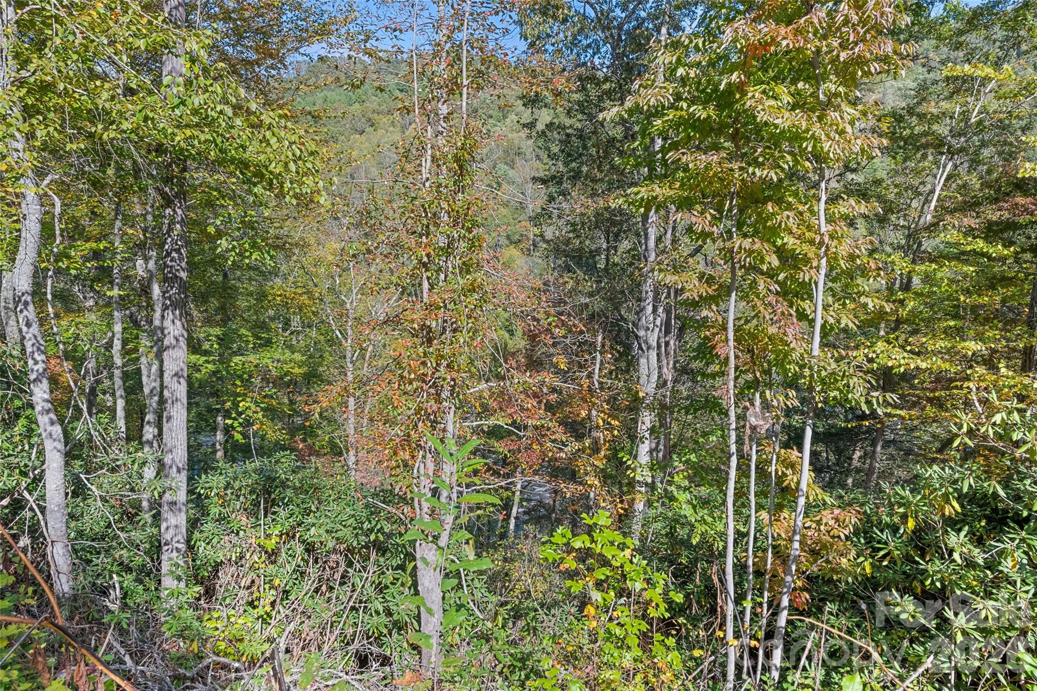 16 Harleys Cove Property Photo 18