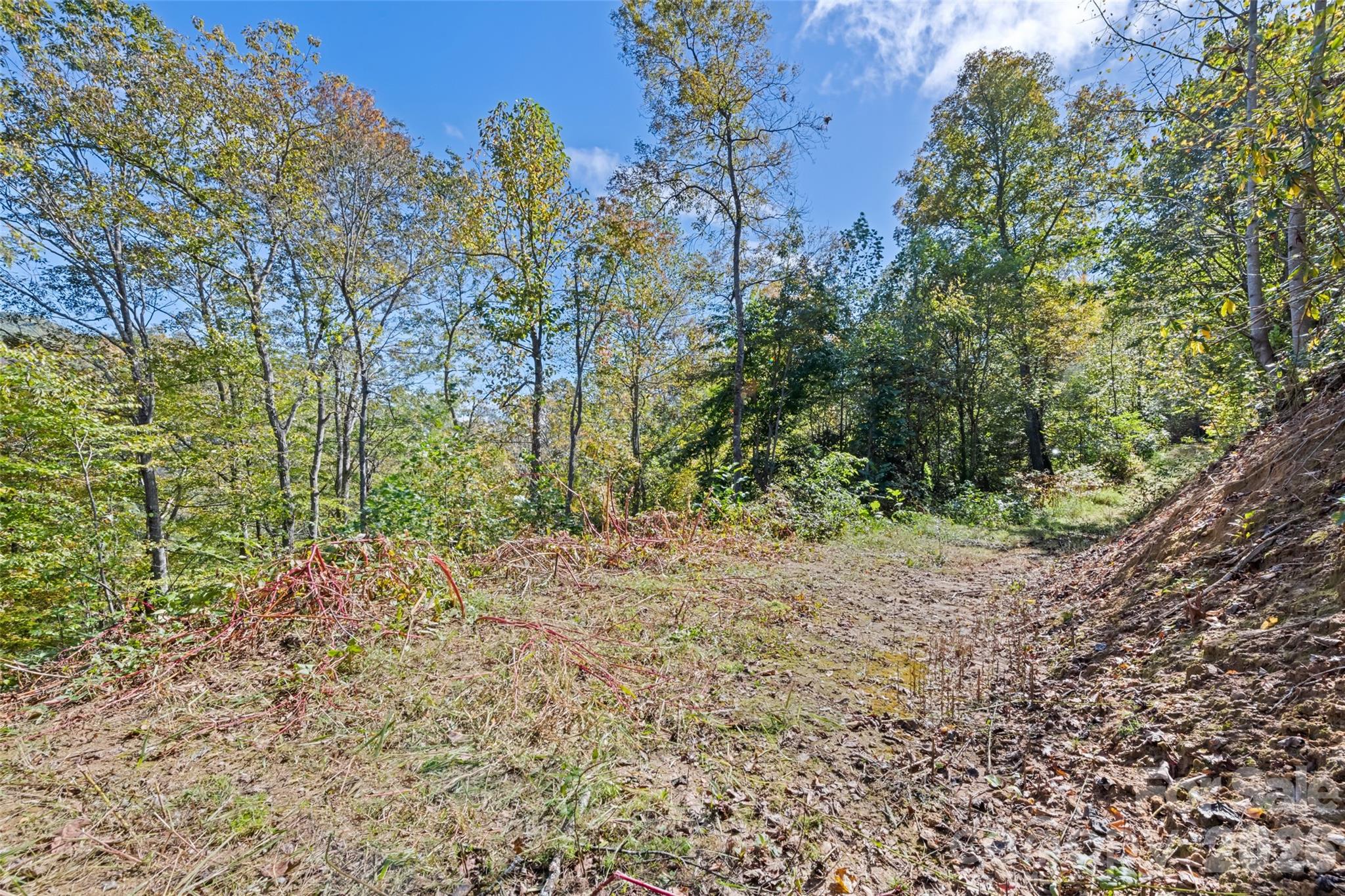 16 Harleys Cove Property Photo 19