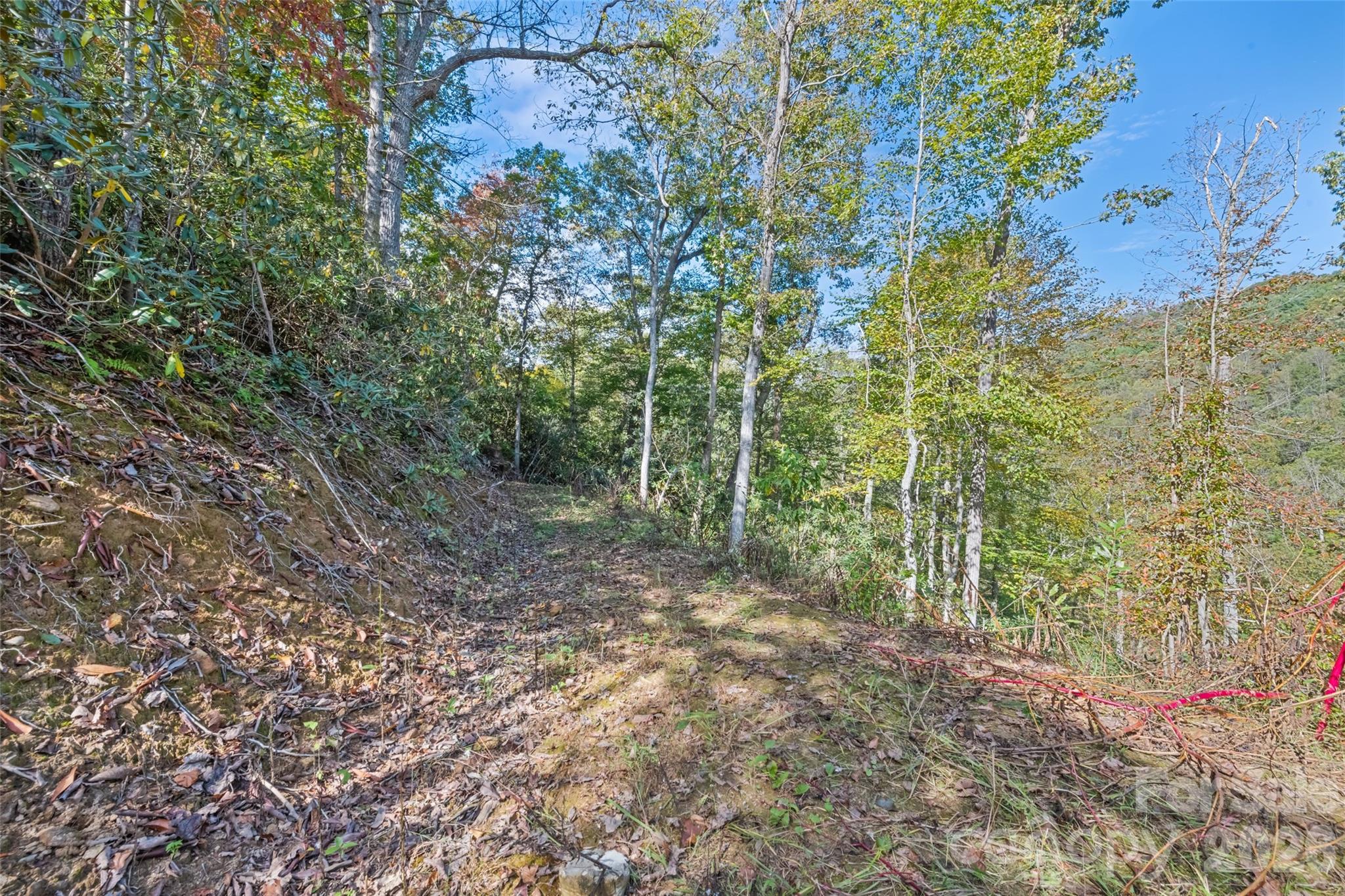 16 Harleys Cove Property Photo 20
