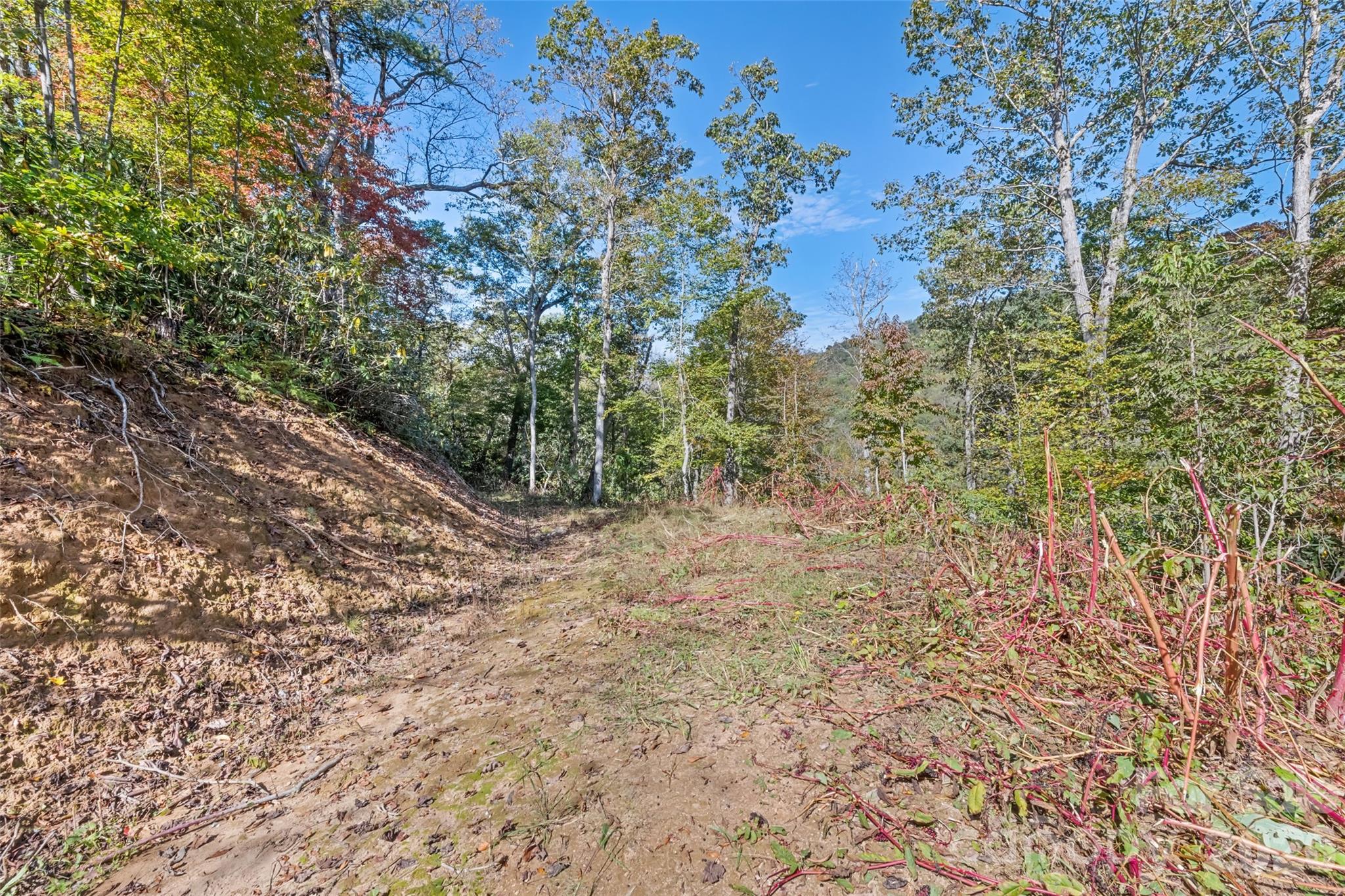 16 Harleys Cove Property Photo 21